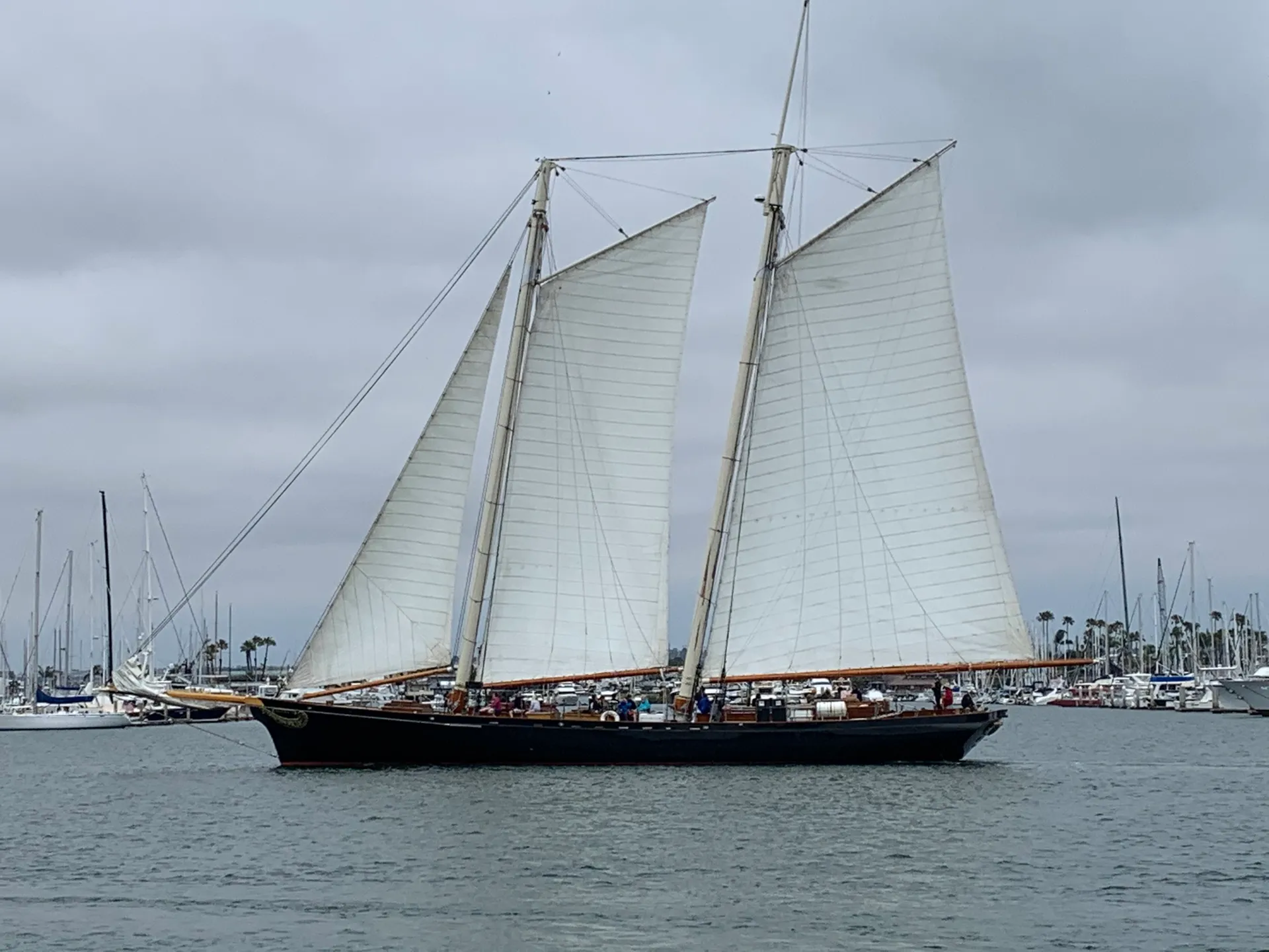 Son of a Sailor~  Livin The Dream in San Diego