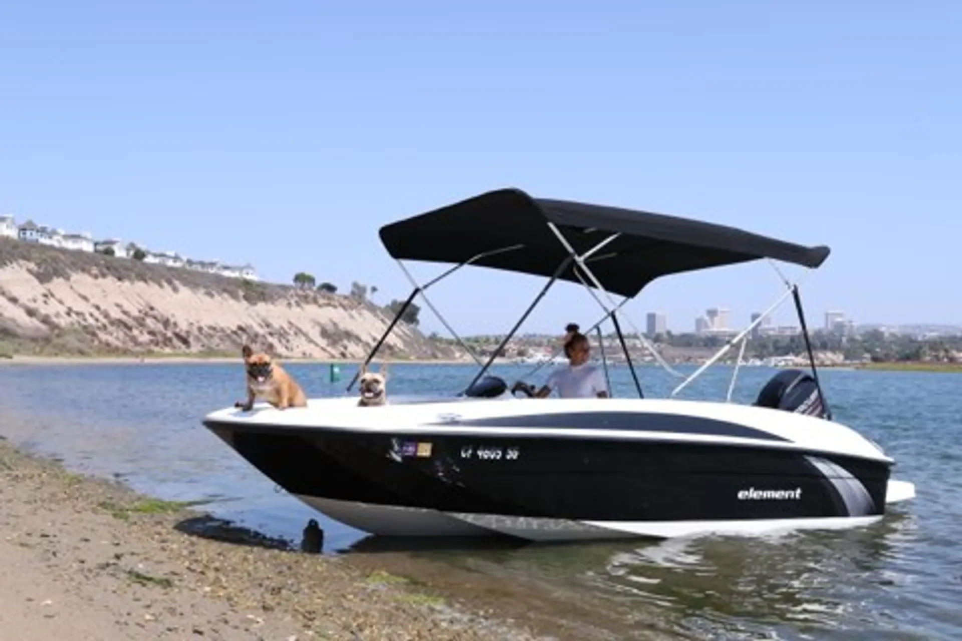 Bayliner  Element E16 in Newport Beach, CA