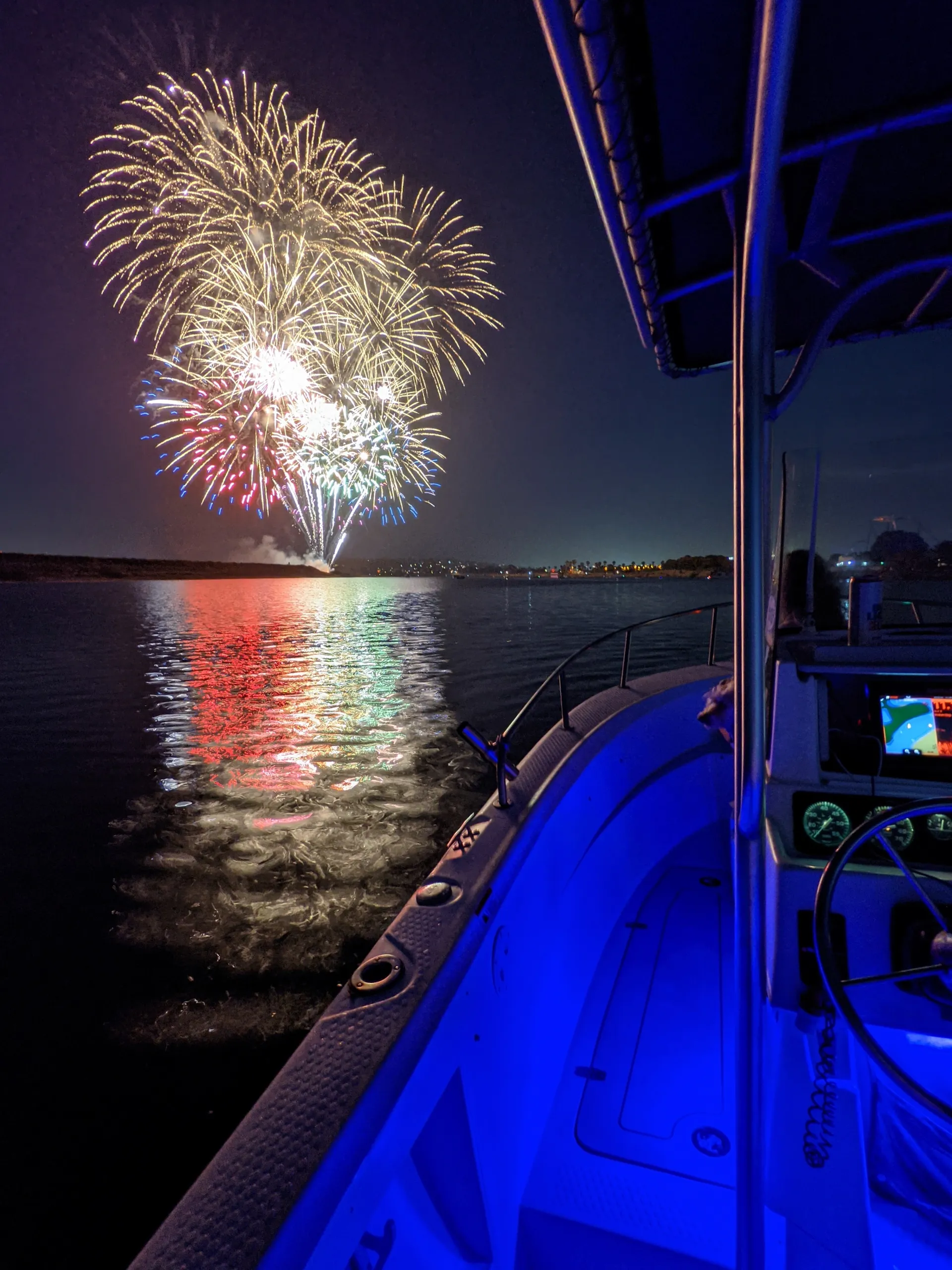 Triumph Boats 210 CC 4-S  in San Diego, CA — photo 10