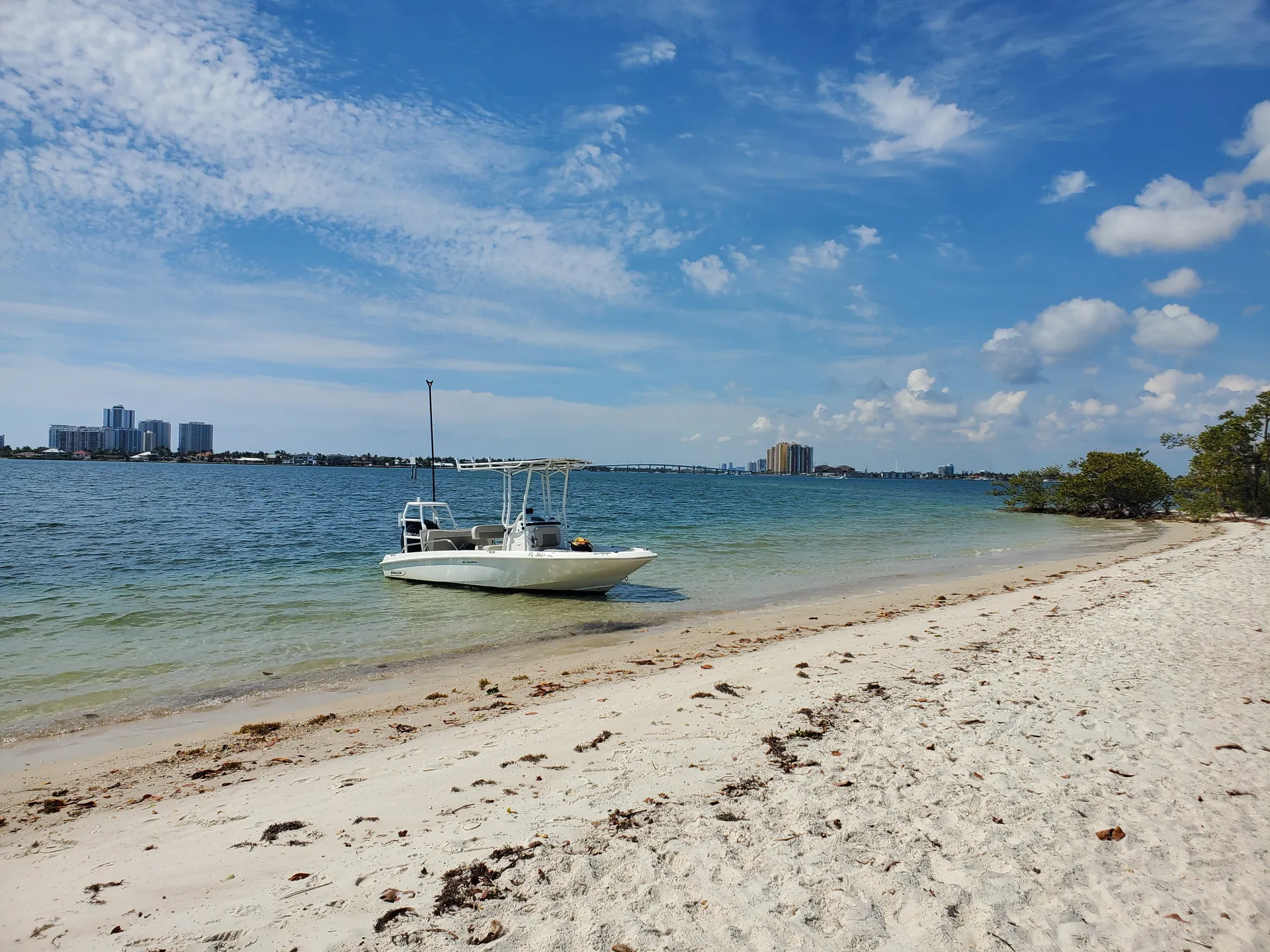 Boston Whaler 180 Dauntless in Boynton Beach, FL — photo 3