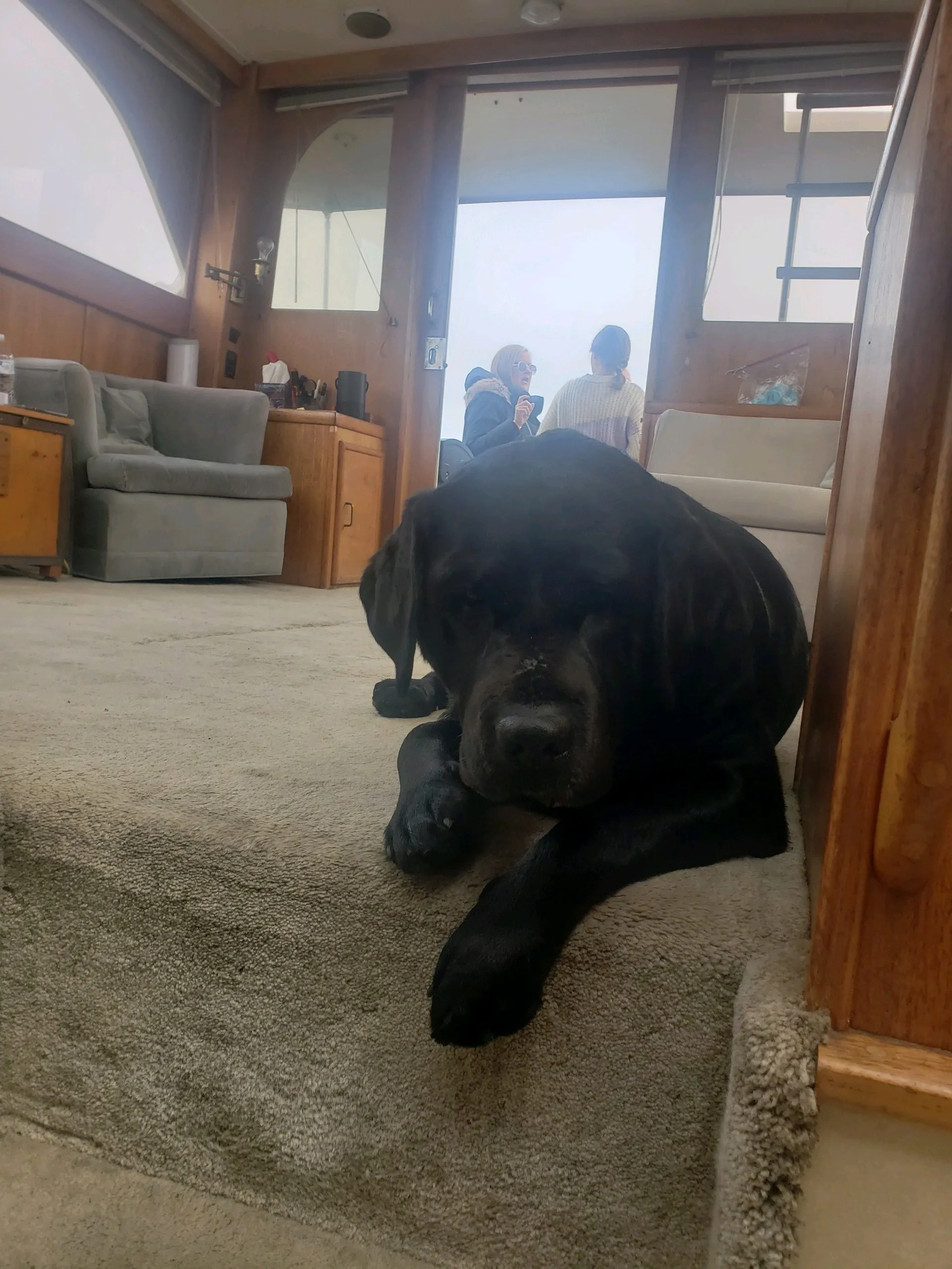 Sea the Best of Boston Harbor aboard Indiscretion!