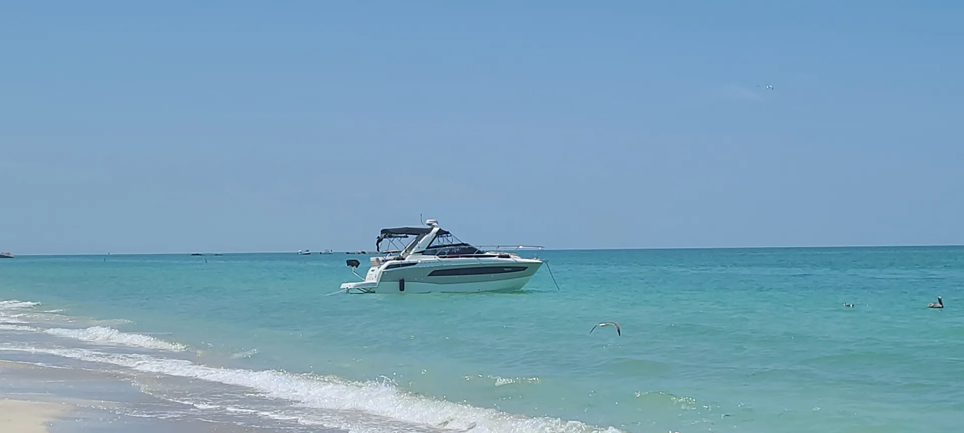 JEANNEAU LEADER 30 in St. Petersburg, FL — photo 2