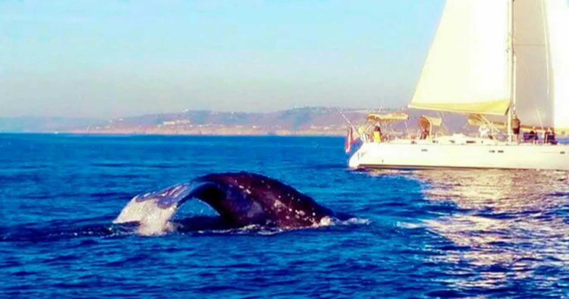 Miss Jen II, 50 ft Party Yacht, huge bow for dancing, 13 passengers