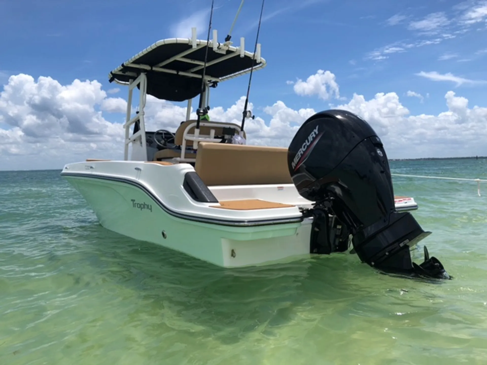 Bayliner Trophy in Holiday, FL — photo 7