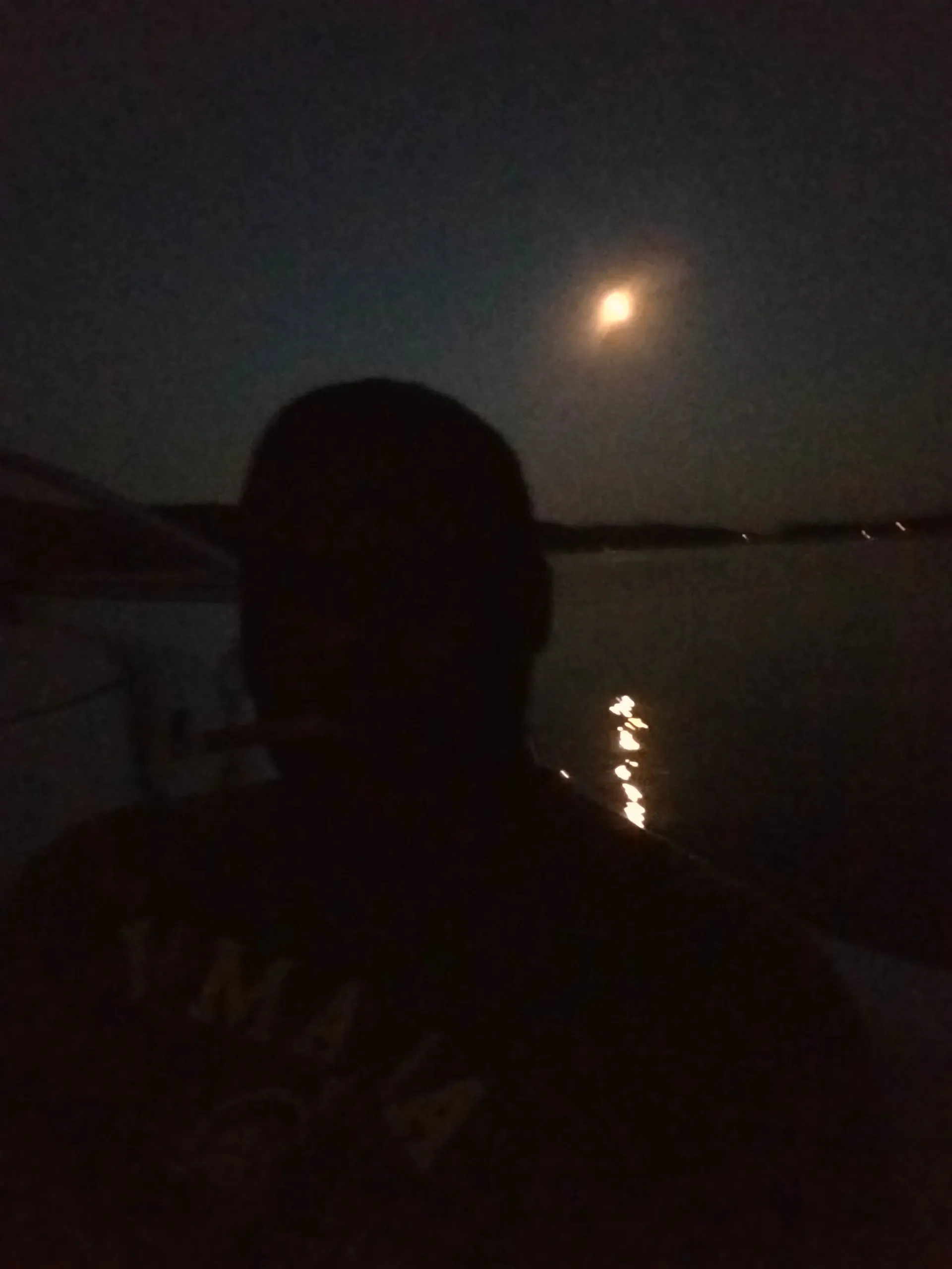 Your Perfect Cruiser: Where River and Ocean Adventures Meet Comfort