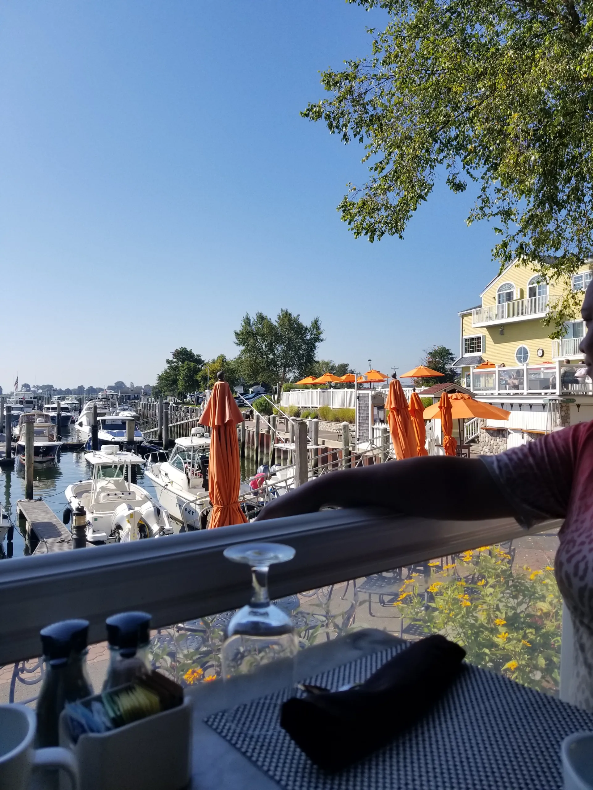 Your Perfect Cruiser: Where River and Ocean Adventures Meet Comfort