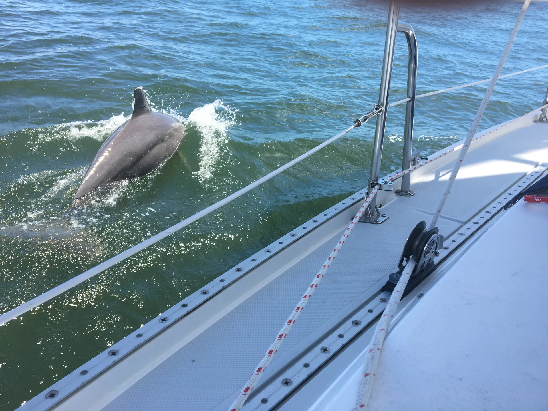 Catalina 34 Wing in Palmetto, FL — photo 8
