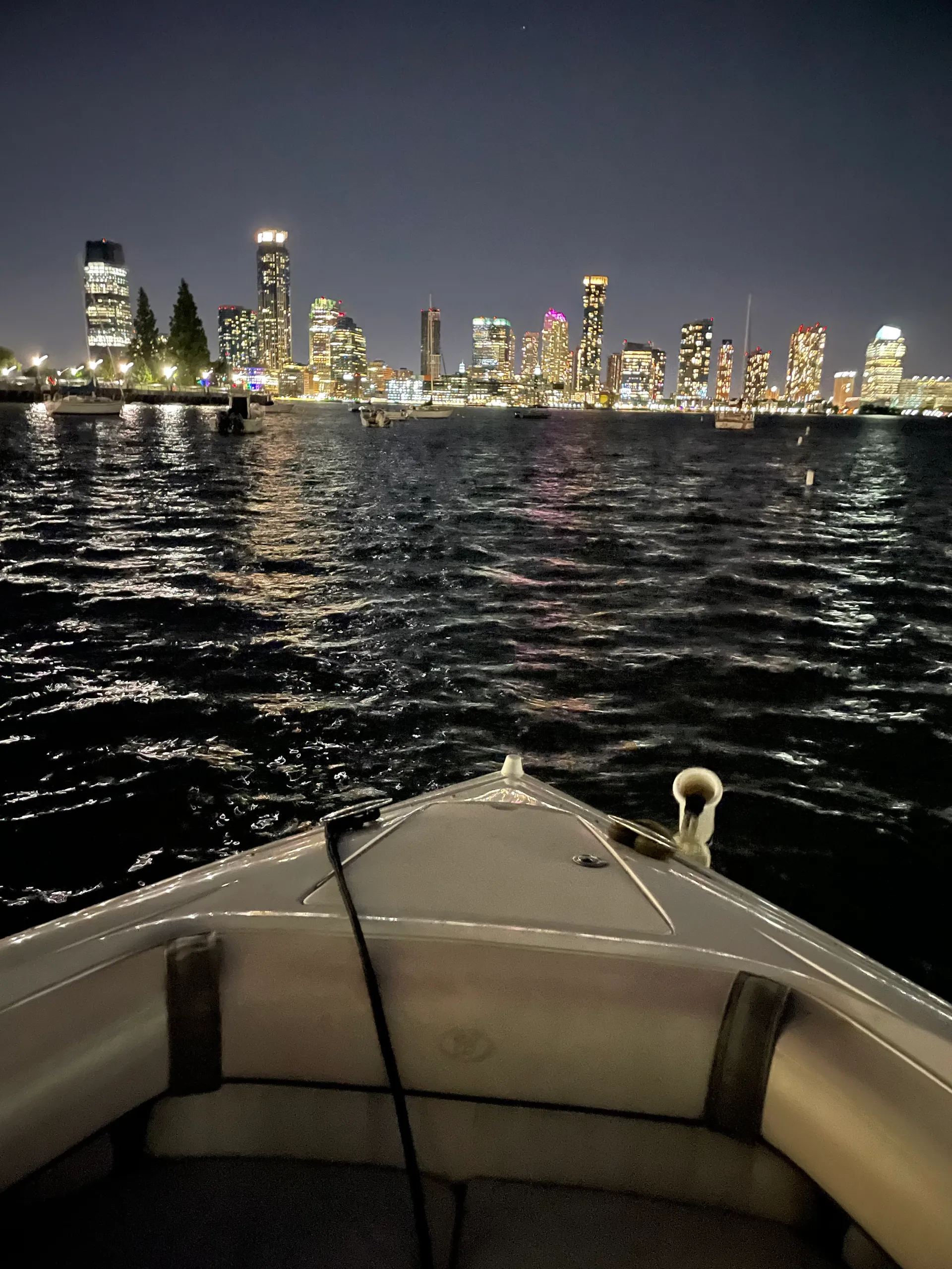 Private NYC Harbor, NYC Skyline cruise and Hudson River