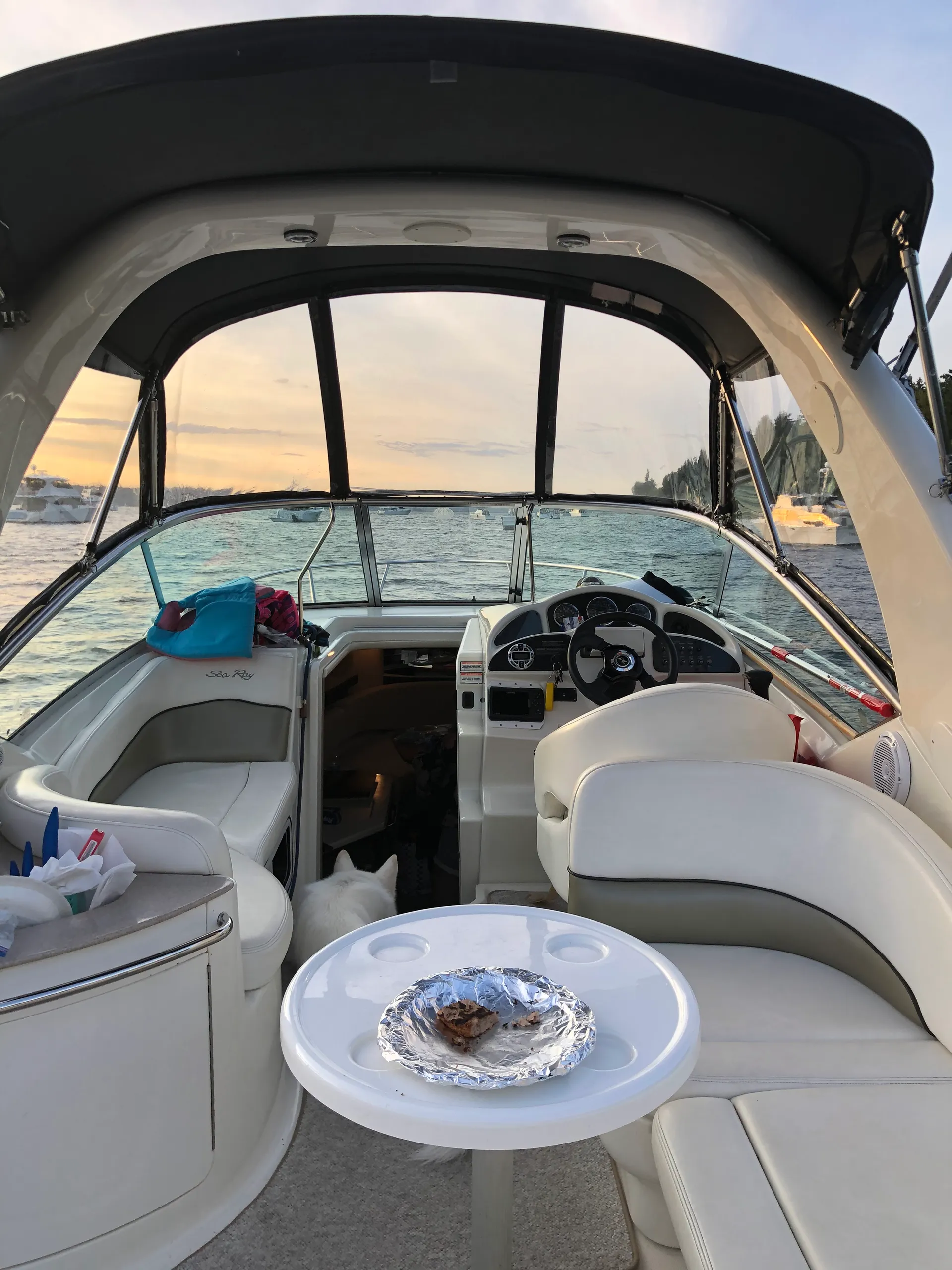 Sea Ray Boats 260 Sundancer in Kent, WA — photo 5