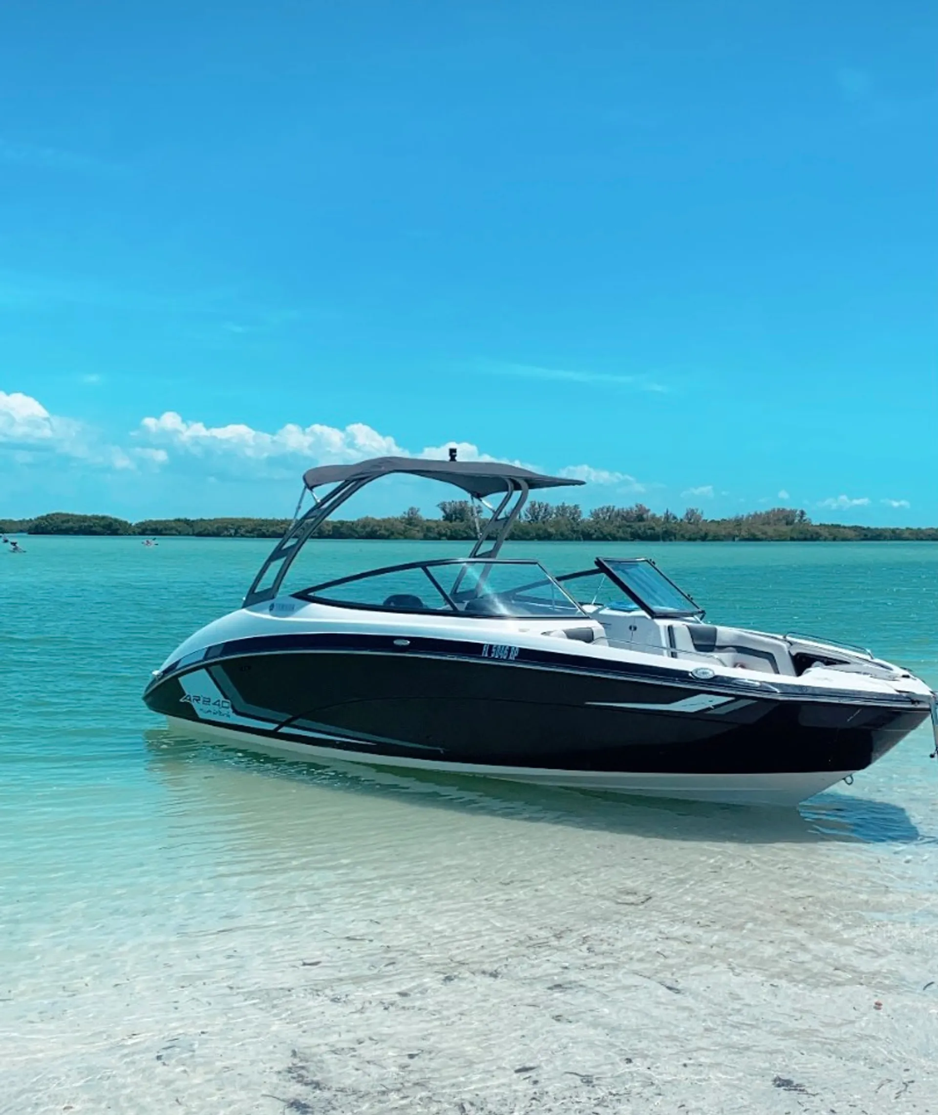 YAMAHA AR240 HIGH OUTPUT W/TRAILER in St. Pete Beach, FL — photo 4