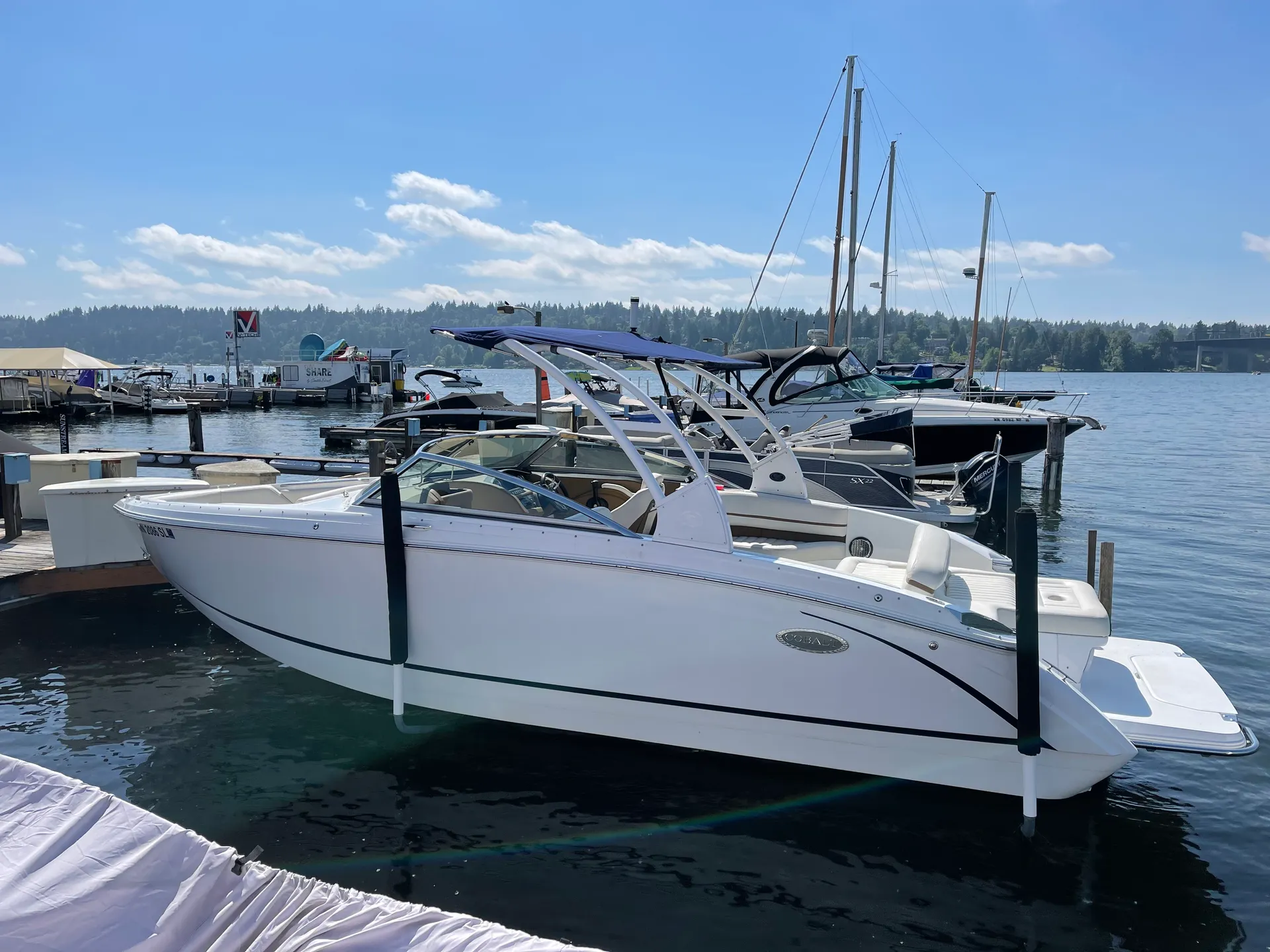 Cobalt R7 in Kirkland, WA — photo 6