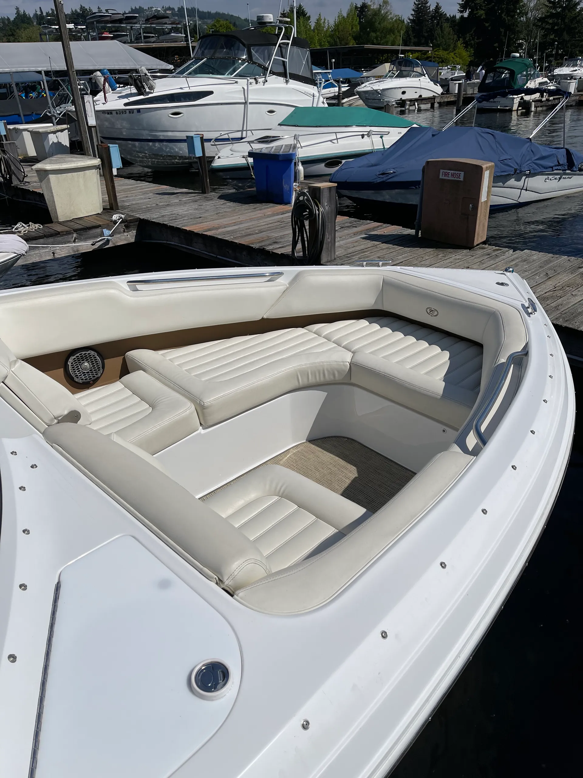 Cobalt R7 in Kirkland, WA — photo 5