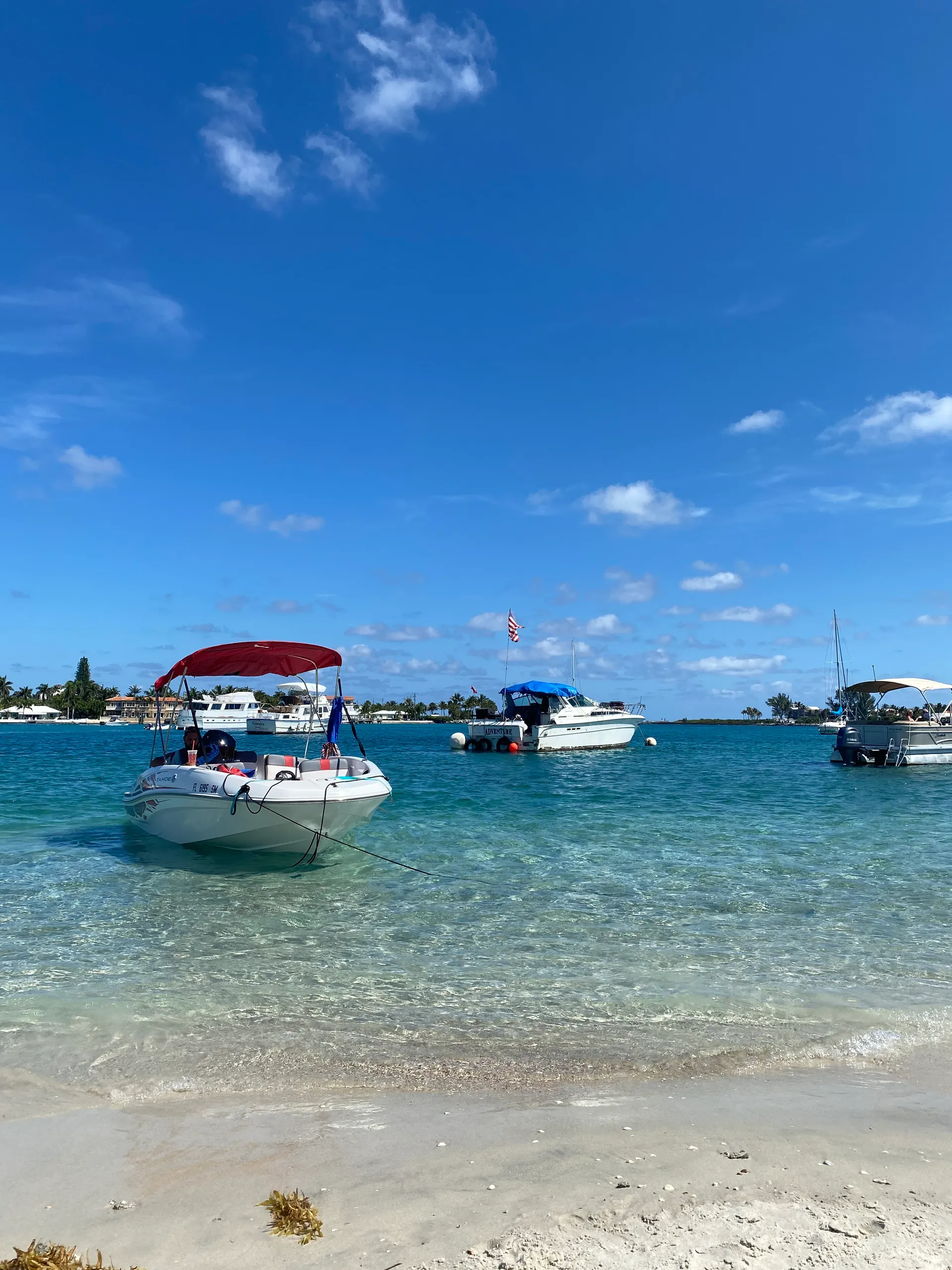 TAHOE BY TRACKER MARINE T16 in Delray Beach, FL — photo 4