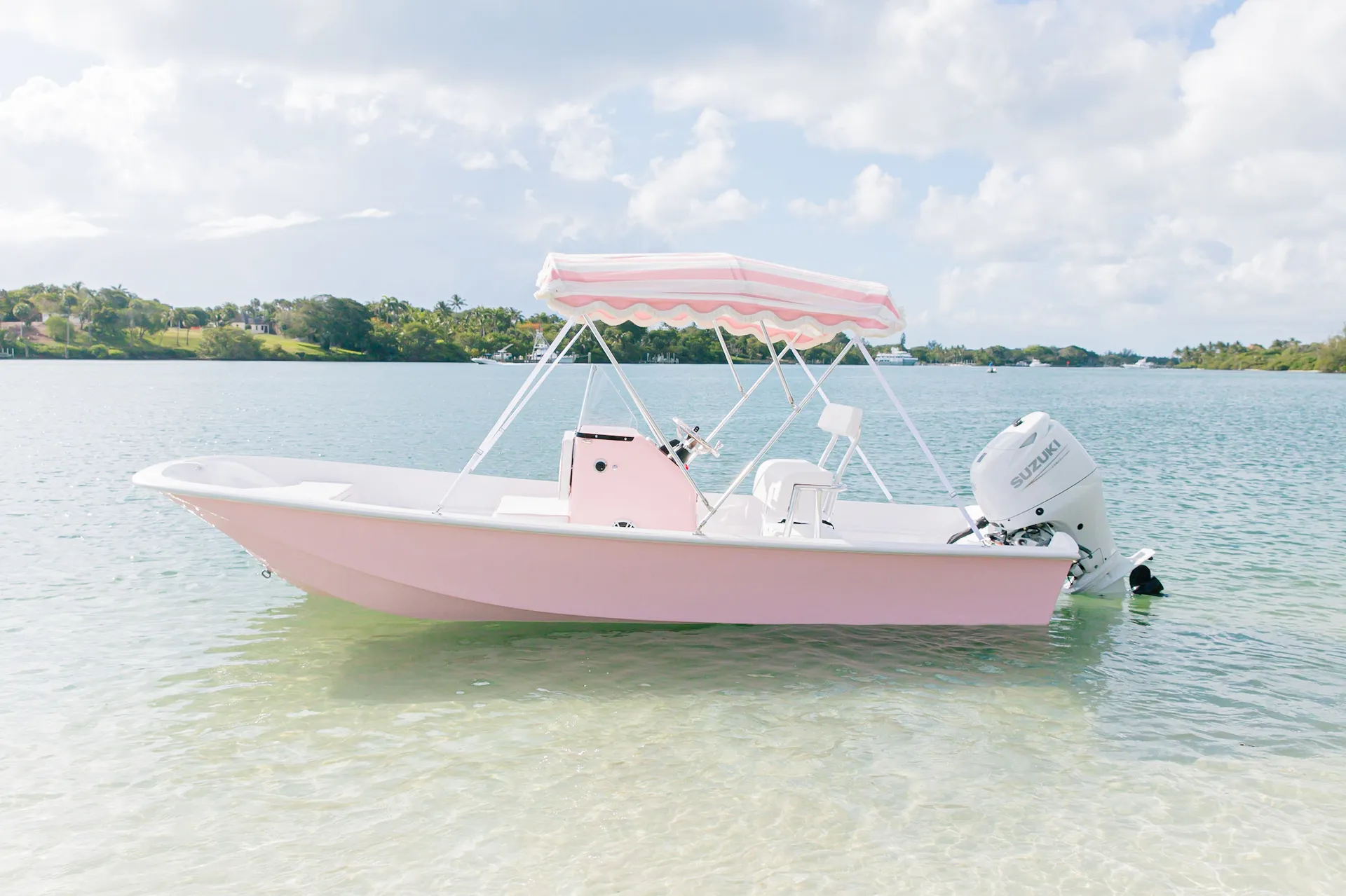 Boston Whaler 17’ “Pink” Cabana Whaler in Palm Beach Gardens, FL — photo 3