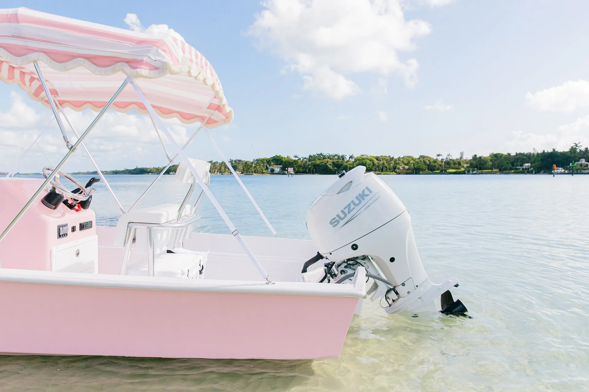 Boston Whaler 17’ “Pink” Cabana Whaler in Palm Beach Gardens, FL — photo 4