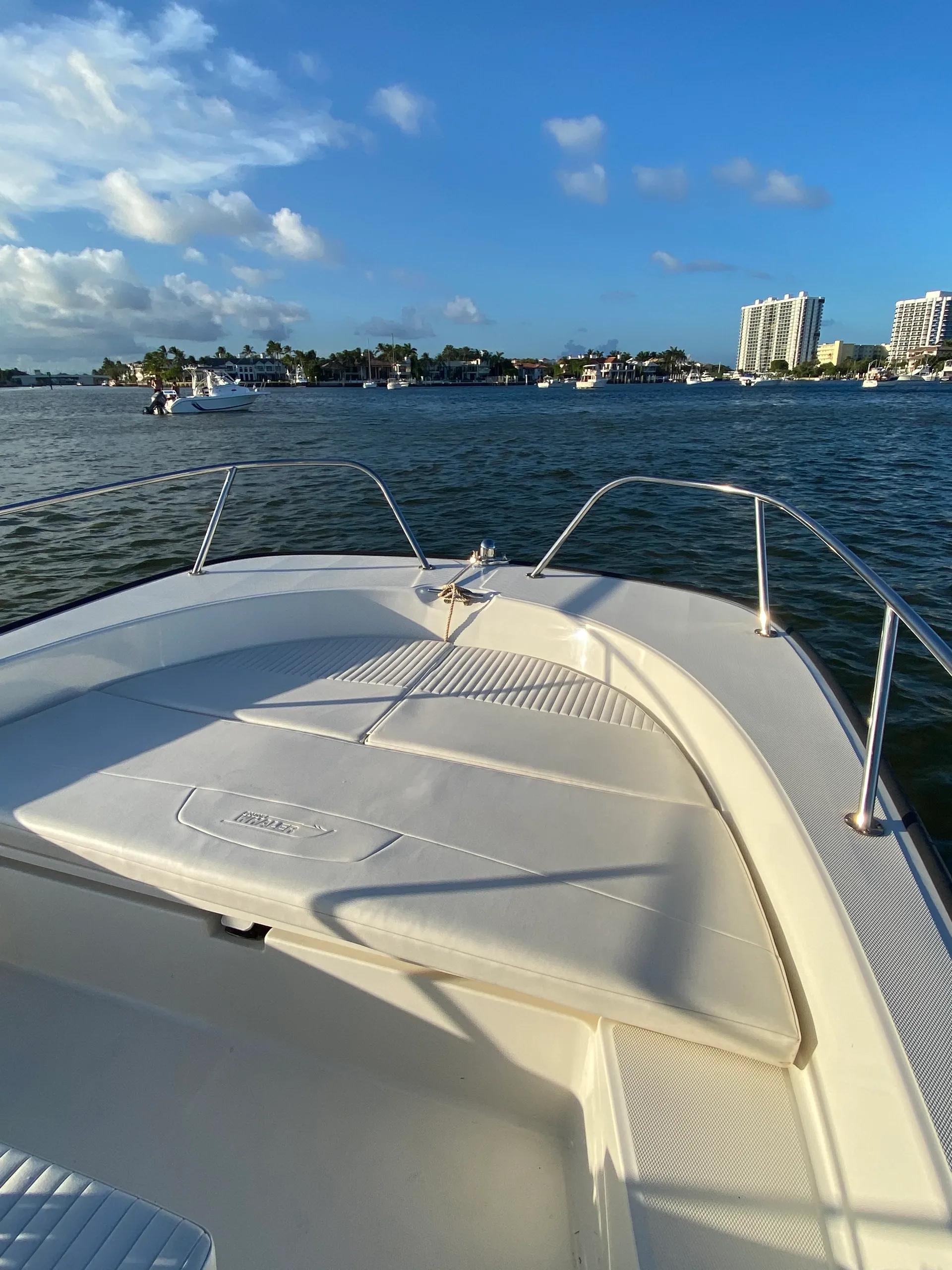 Cruise in Style! 21' Boston Whaler Fits Up to 9