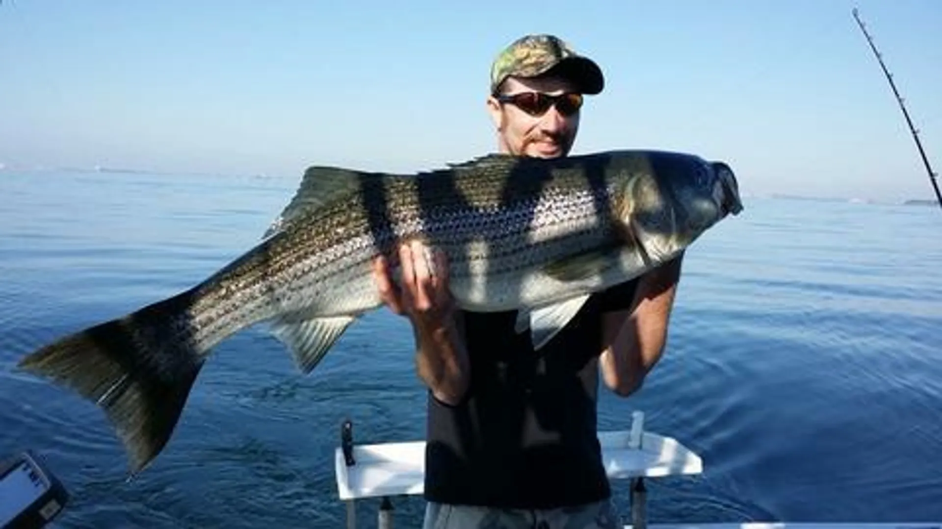 BayState Sport Fishing Charter w Capt. Ronnie