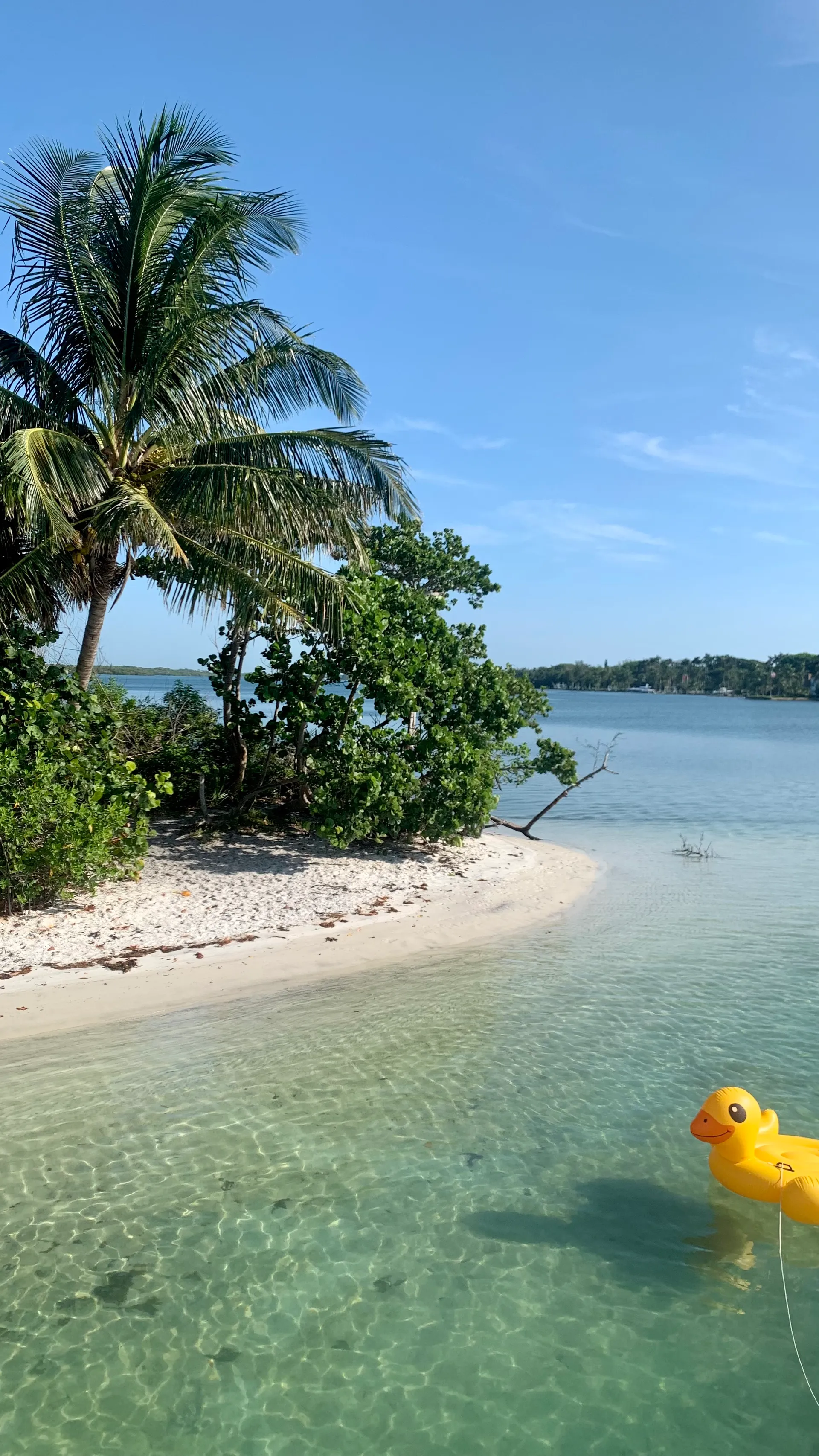 ☀️ 5 STAR 42' Azimut Luxury Yacht | Jupiter, Palm Beach, Stuart, FL