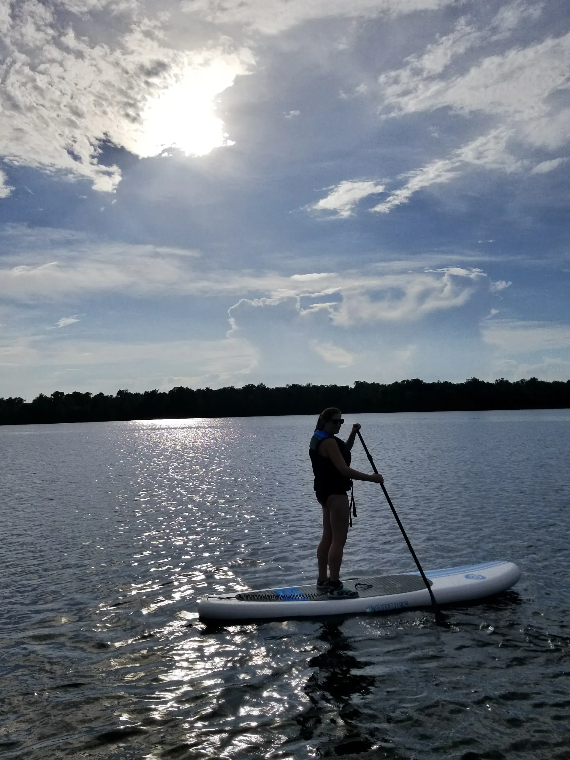 MONTEREY BOATS M-65 in Crescent City, FL — photo 7