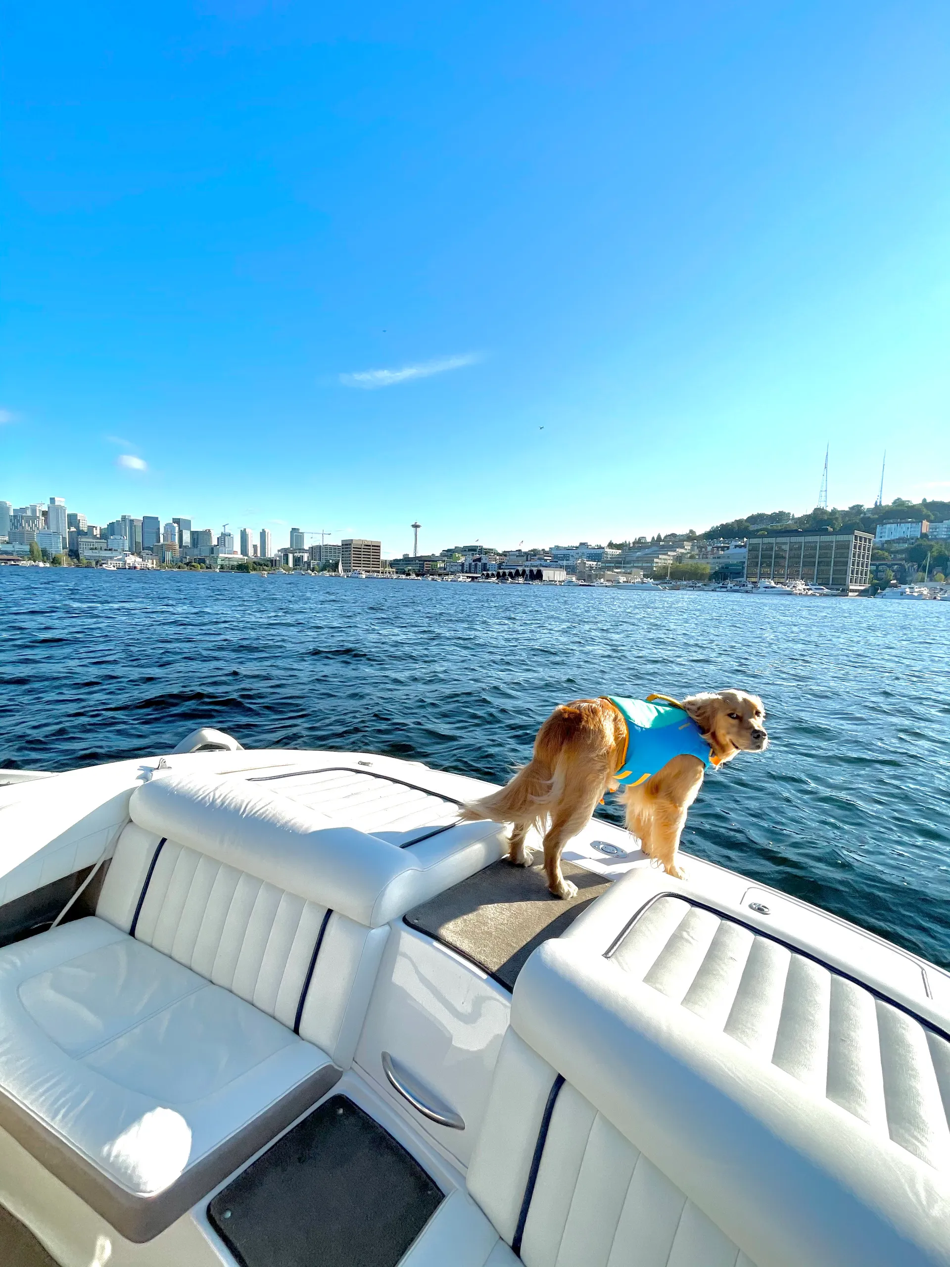 Cobalt Cobalt 200 in Seattle, WA — photo 8