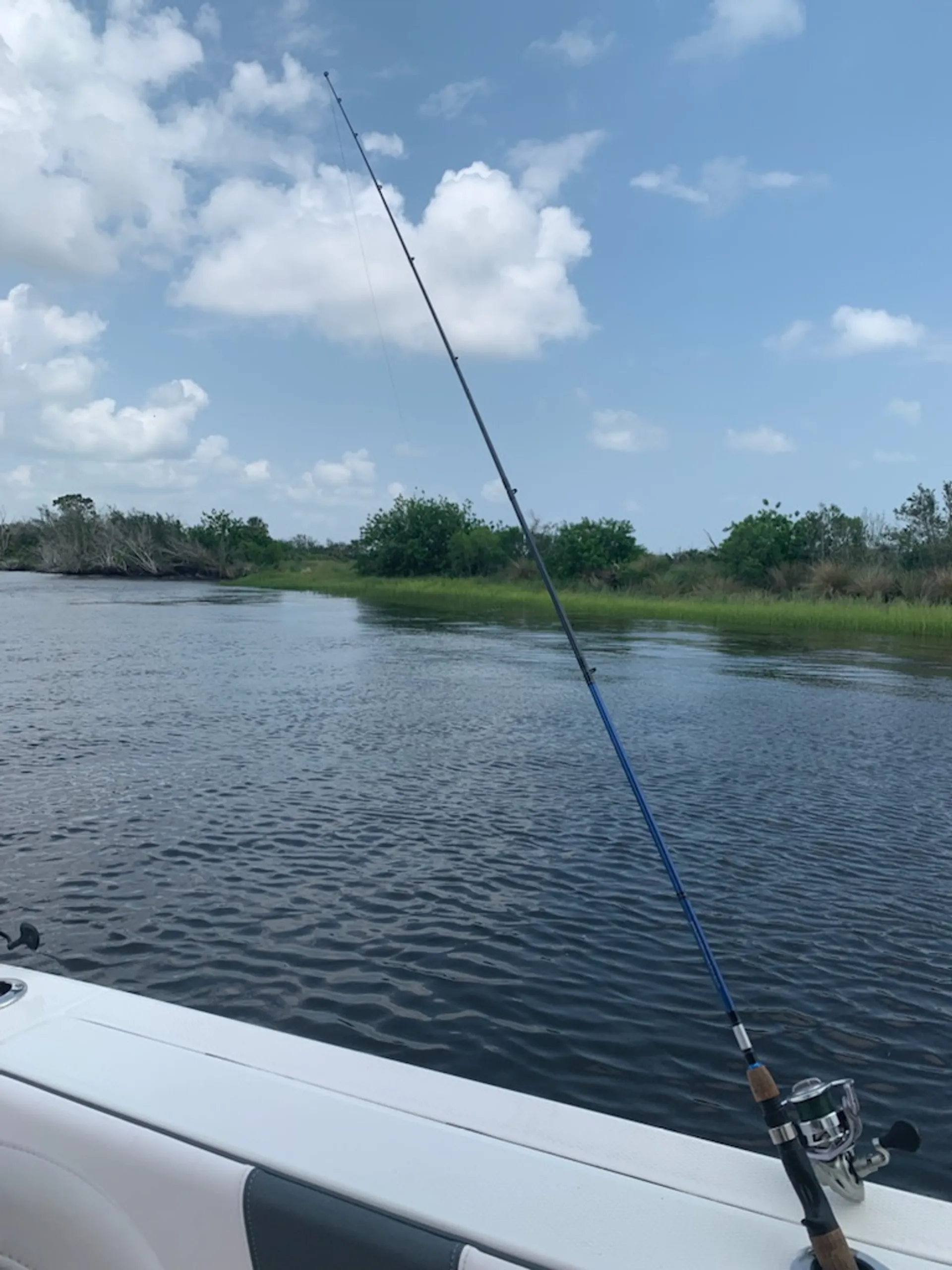 ROBALO R200 CC W/F150XA W/TRLR in Atlantic Beach, FL — photo 3