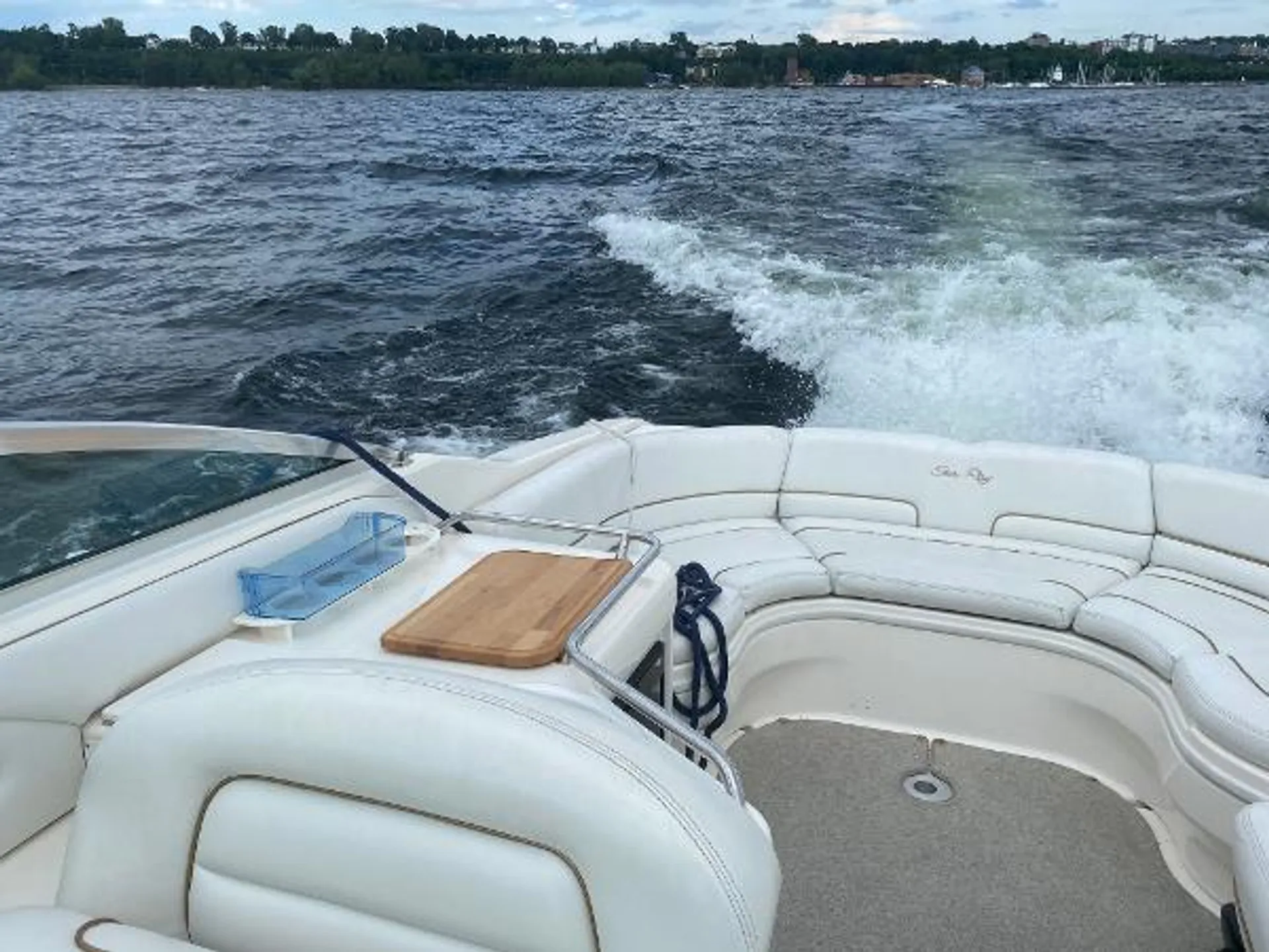 Sea Ray Boats 280 Bow Rider in Boyne City, MI — photo 2