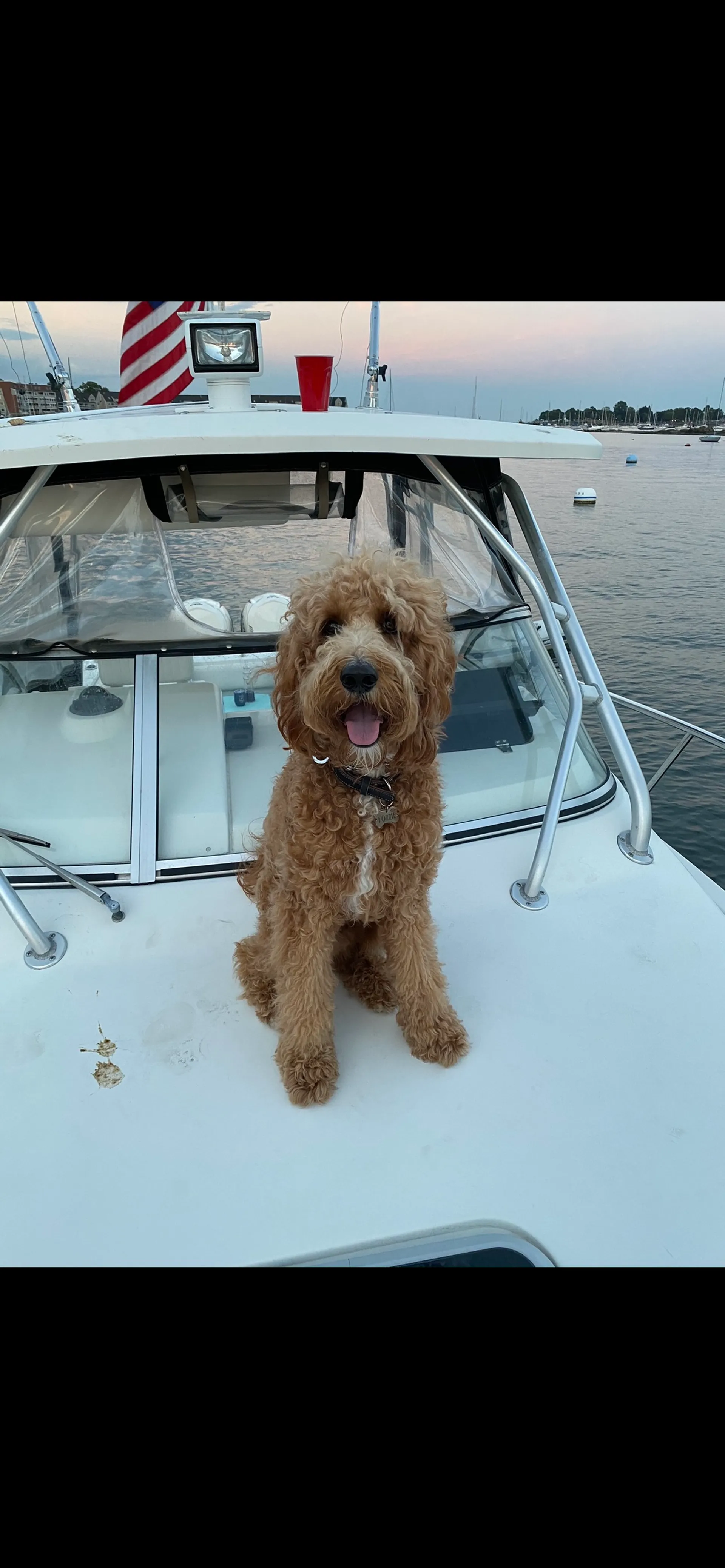 Hydrasports Boats 2800 WA W/2-225XL EFI in Beverly, MA — photo 3