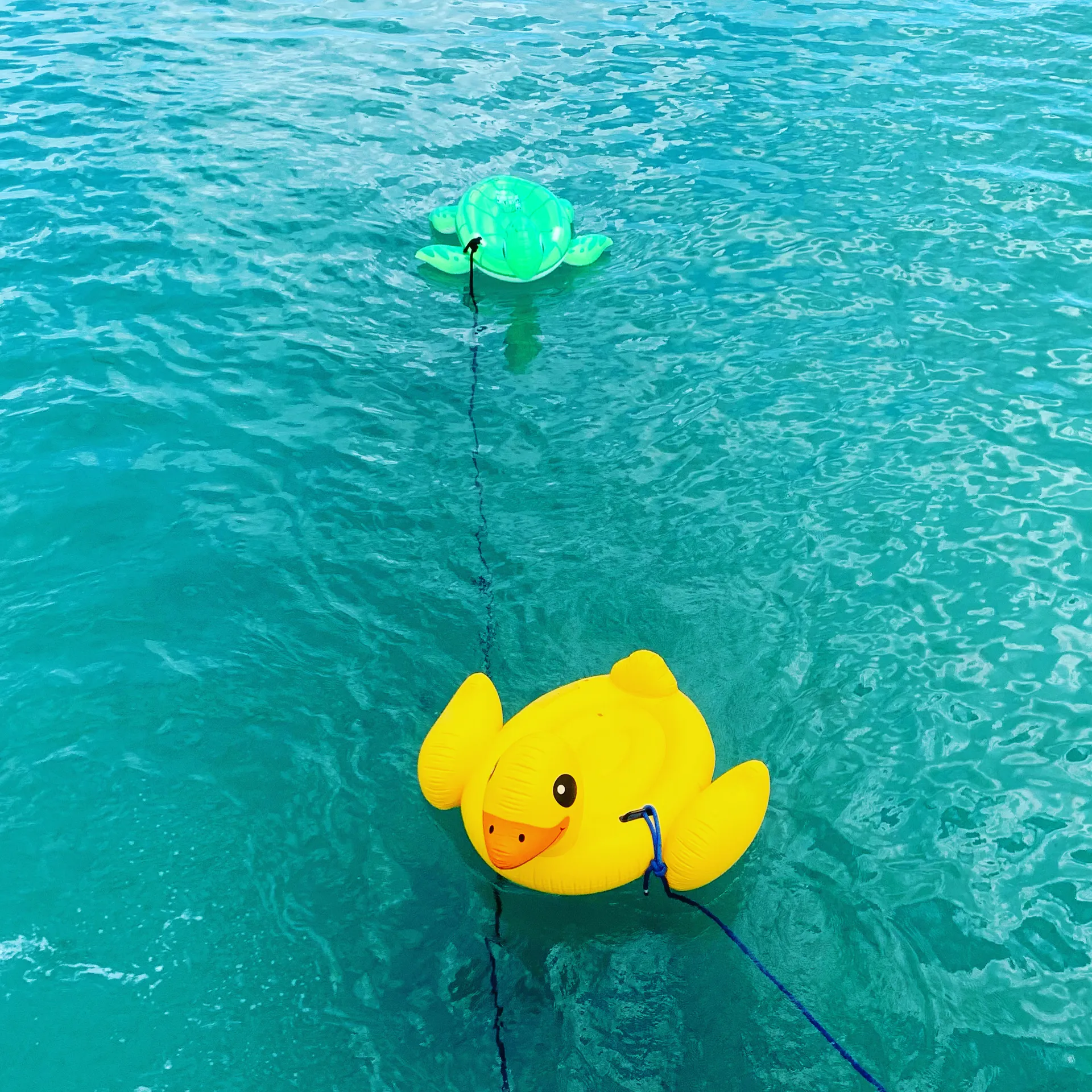 ☀️ 5 STAR 42' Azimut Luxury Yacht | Jupiter, Palm Beach, Stuart, FL