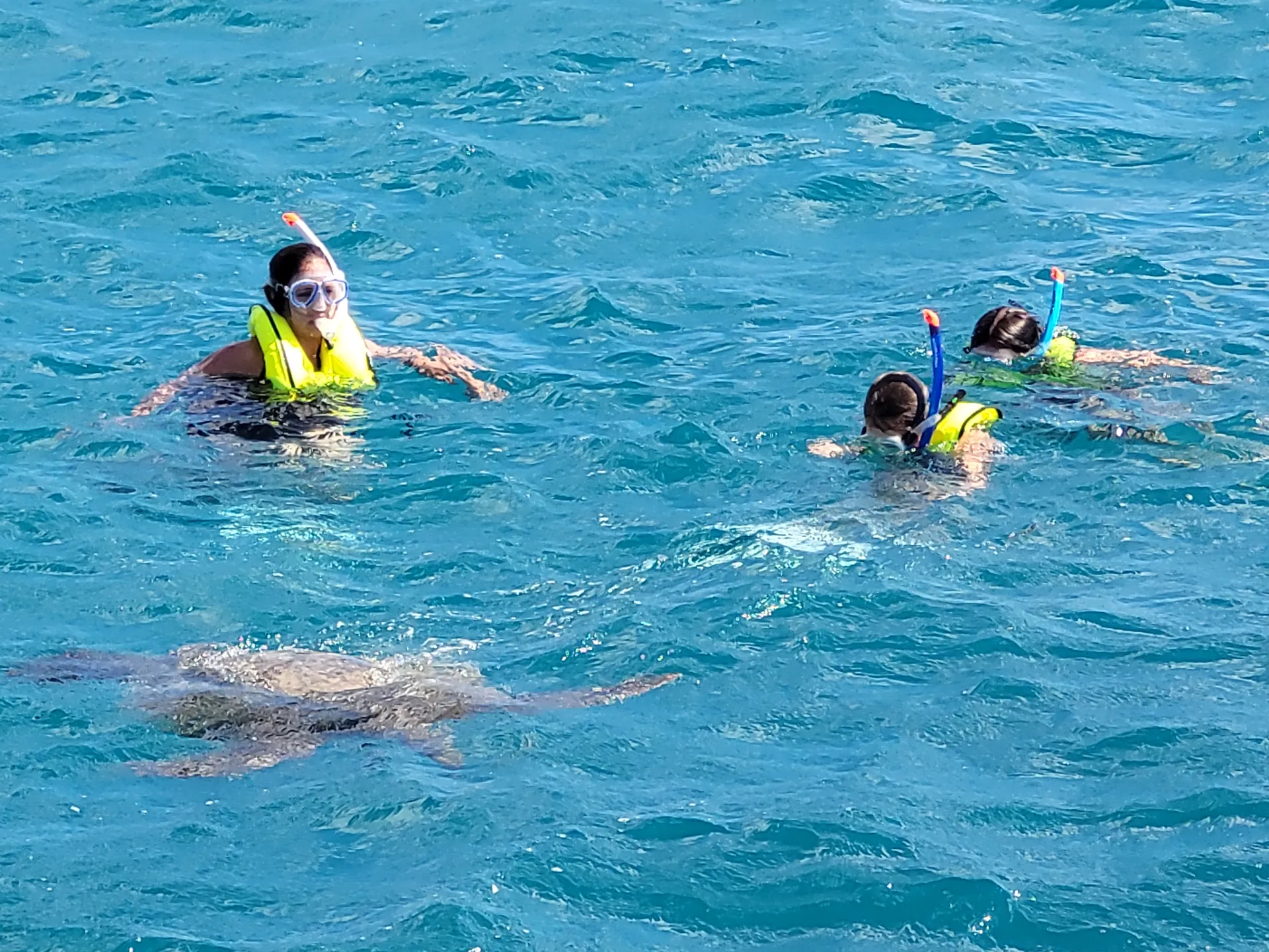 46 Passenger Motor Catamaran in Honolulu, HI!