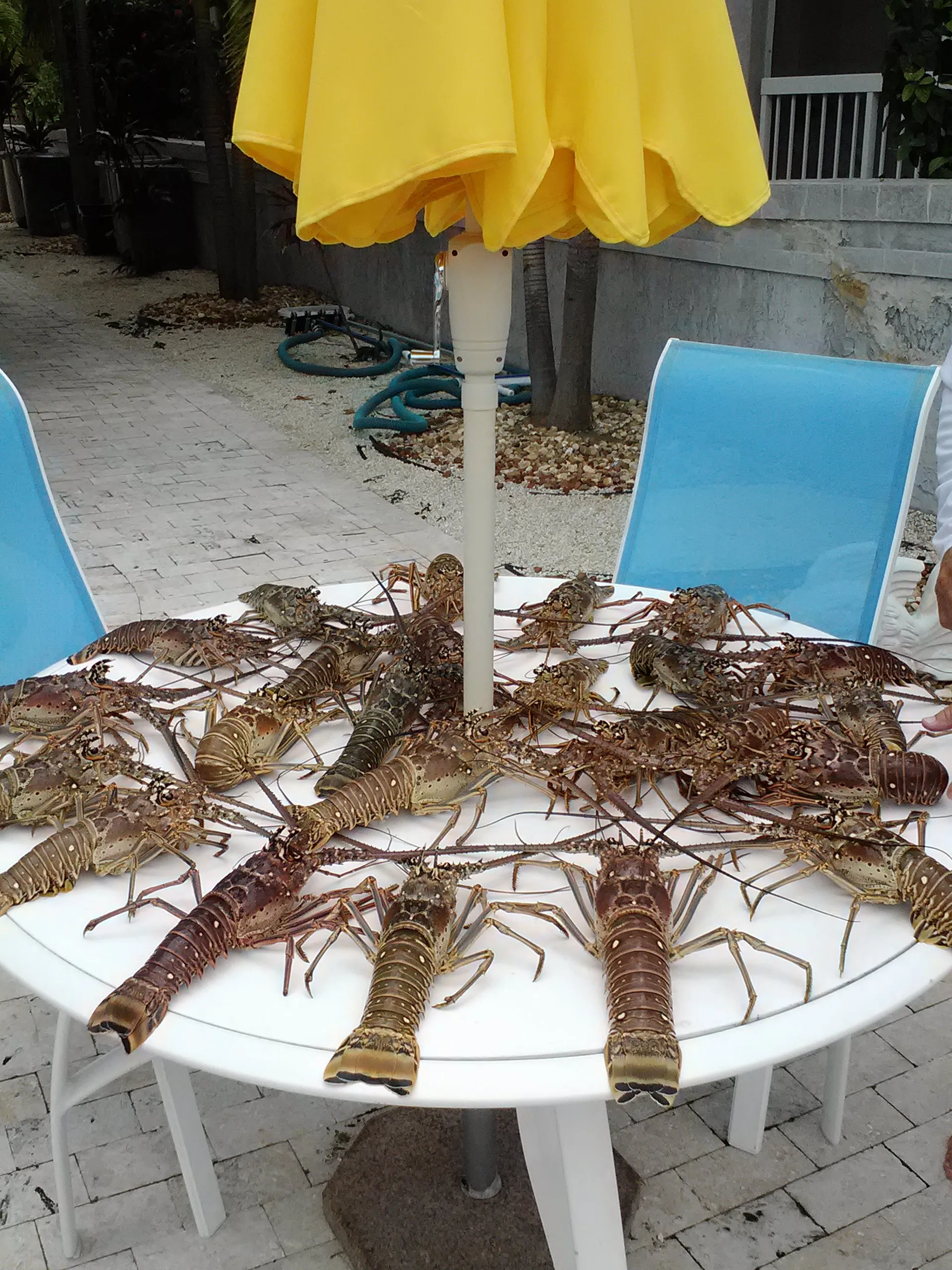 22' Center Console for Lobster, Cruising, Sandbar, Sightseeing!