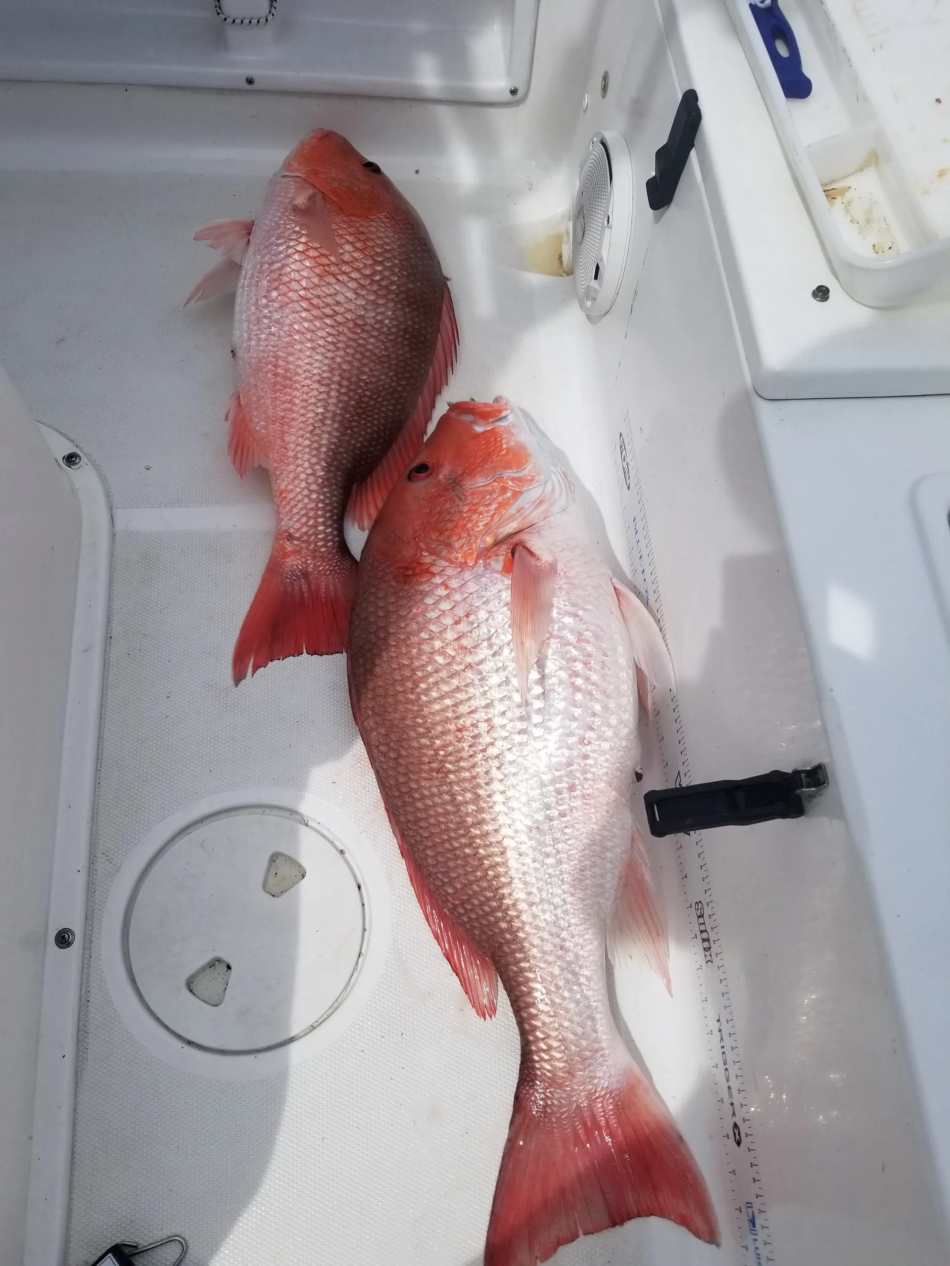 Sea Hunt Boats Ultra 234 in Cape Canaveral, FL — photo 4