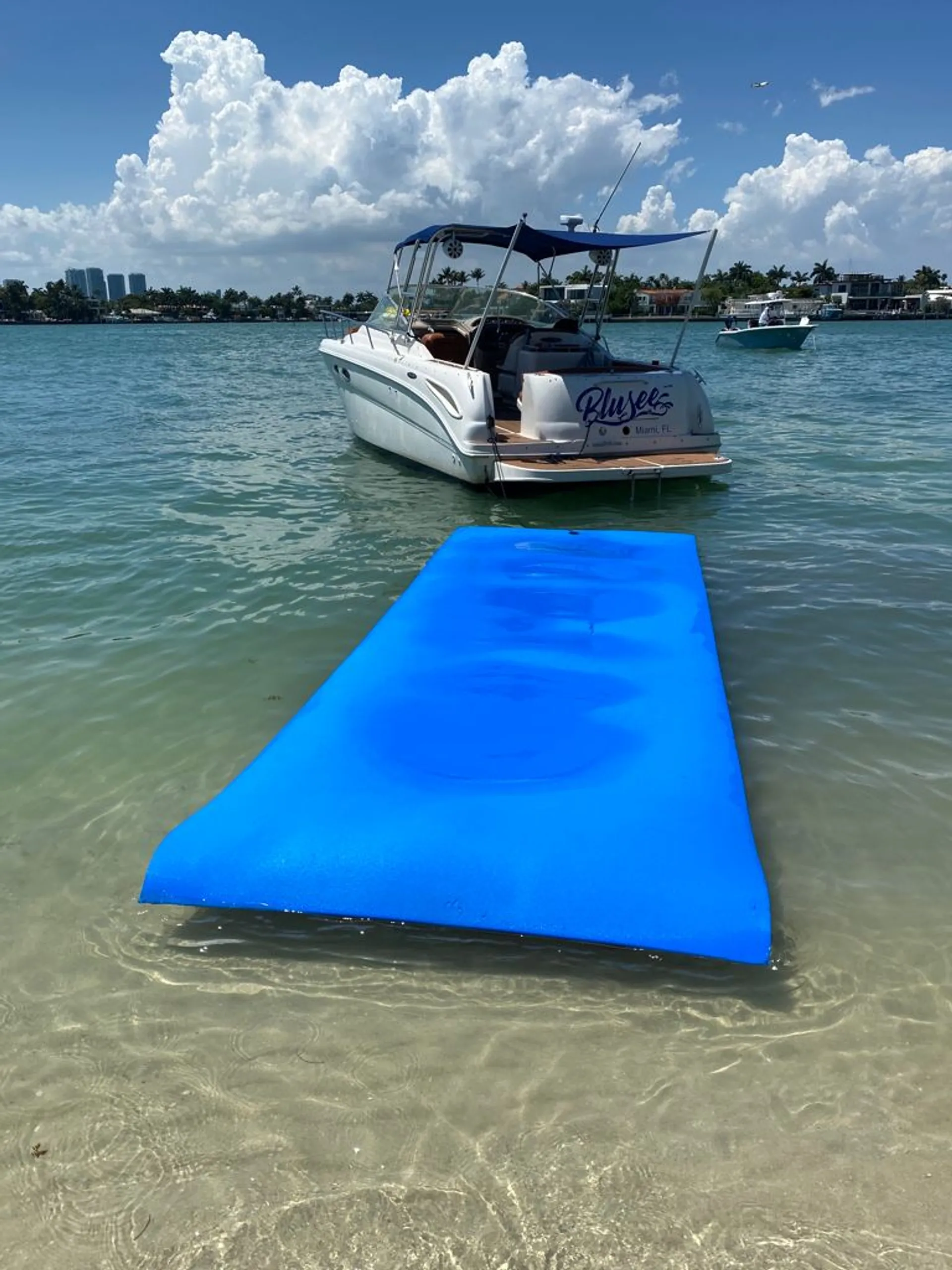 Get 1 HR FREE! Beautiful 32 FT Sea Ray!!