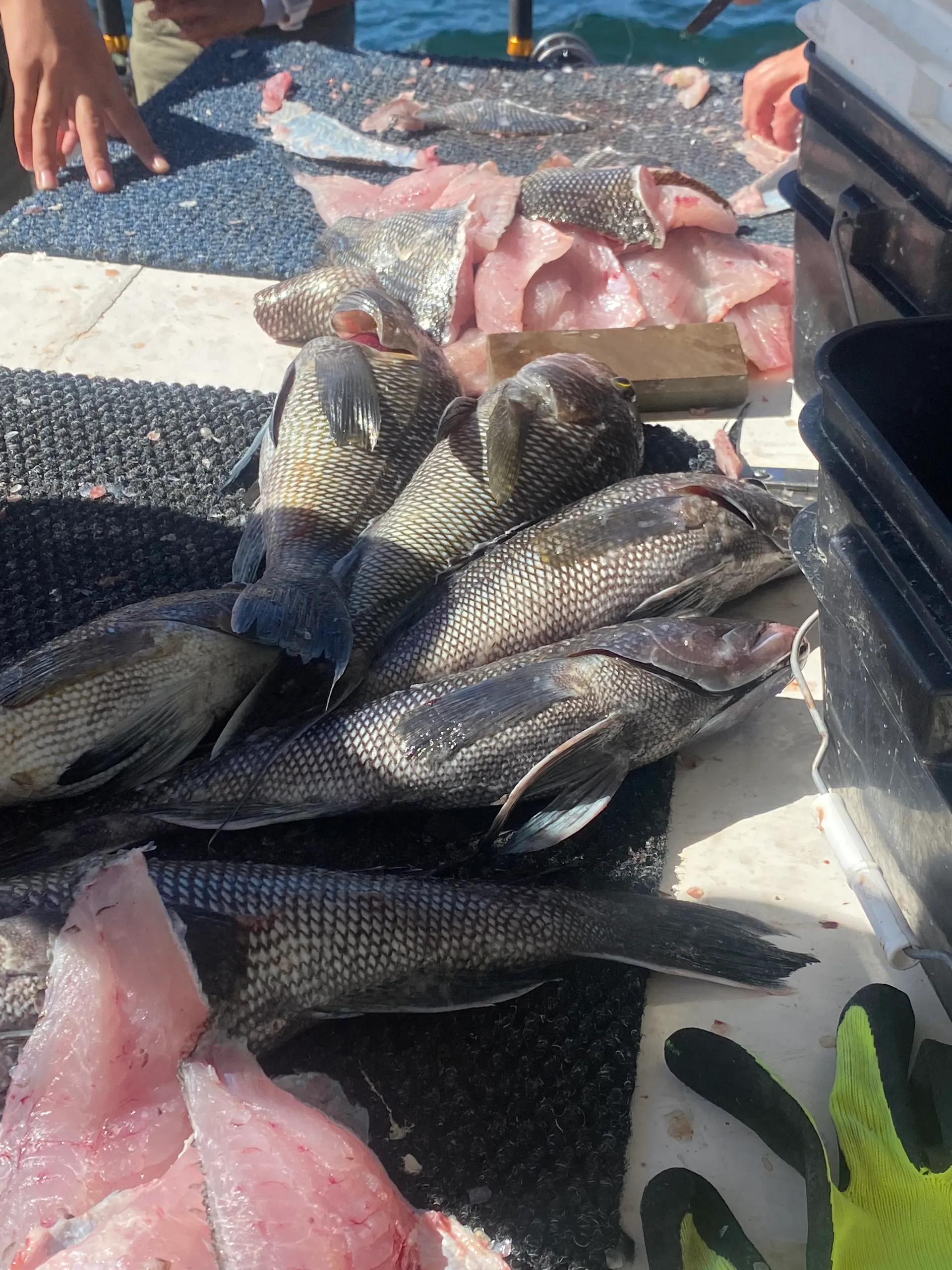 Silverton Marine 26 Flybridge in Bay Shore, NY — photo 6