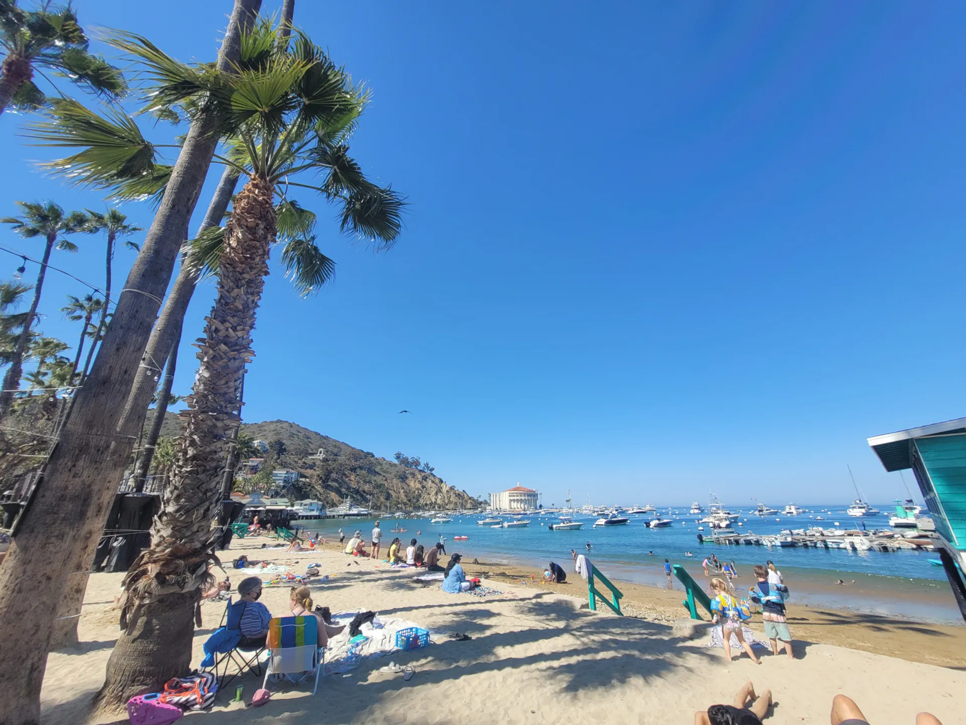 Spacious Modern 40ft Luxury Power Yacht ☀️ BEST VALUE! 