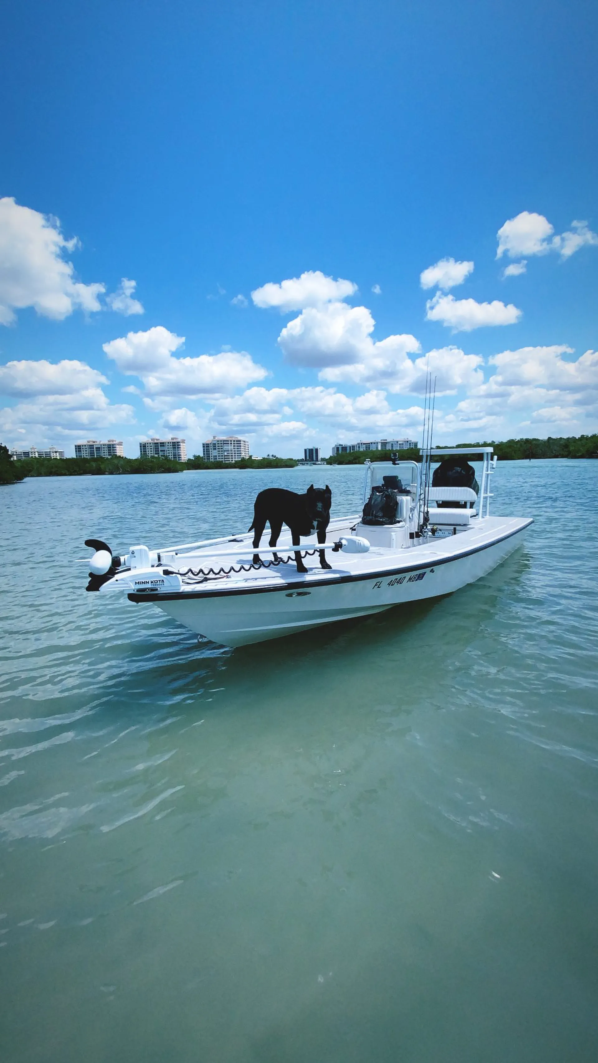 boat