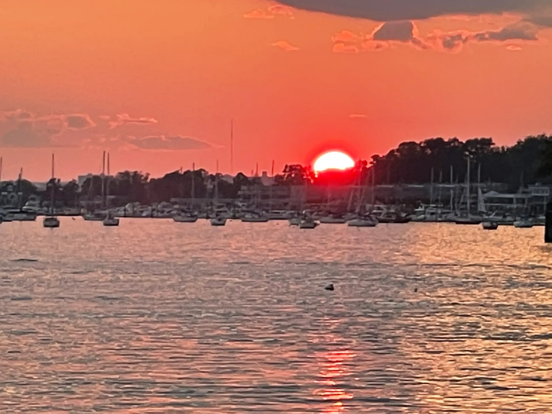 TRAVEL IN LUXURY AND STYLE ON THIS CRUISER YACHT