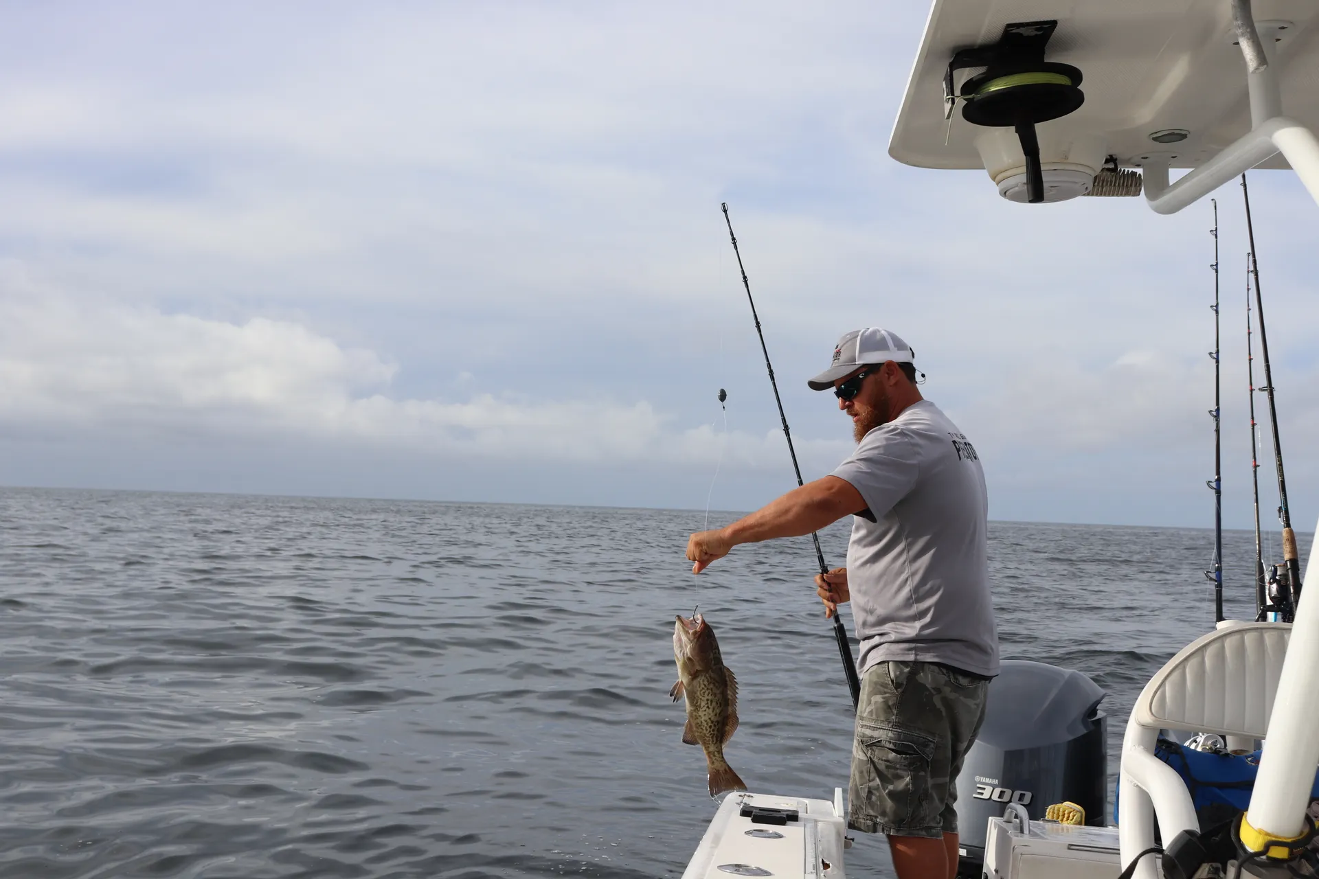 Reel Gulf Predator - 36ft Fishing Charter!