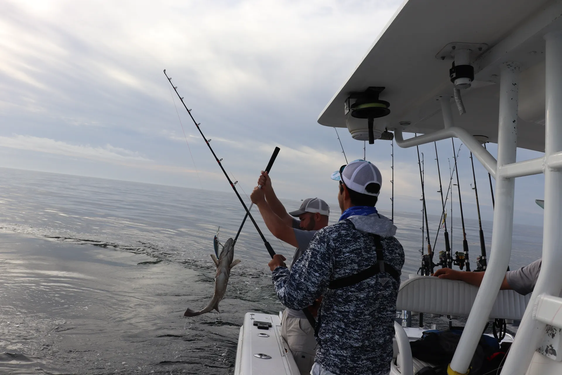 Reel Gulf Predator - 36ft Fishing Charter!