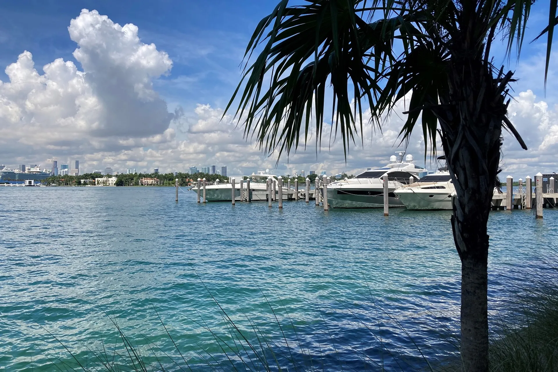 54' The BIG South Beach Sundancer!