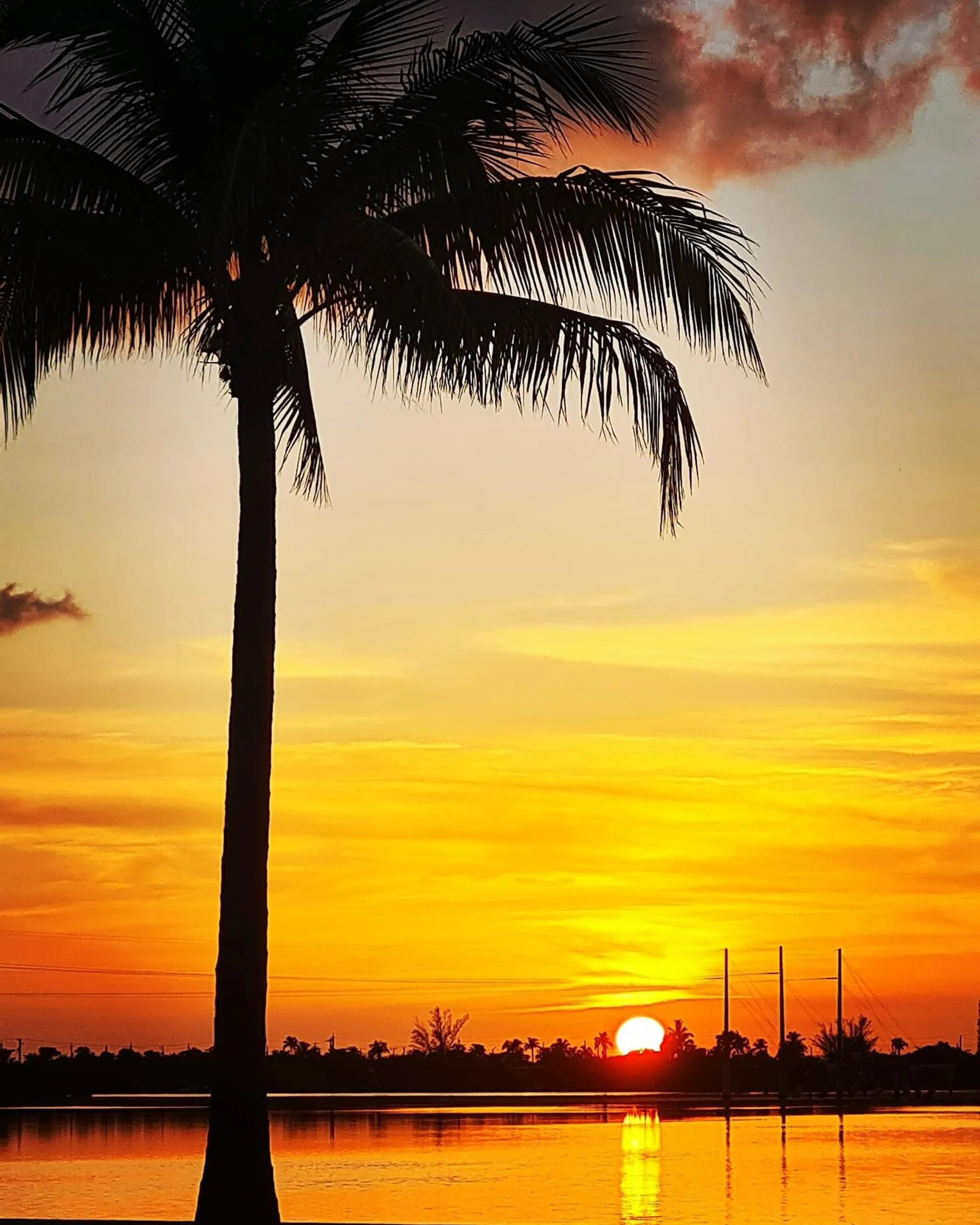 River Ventures  20 Party Boat in Key West, FL — photo 7