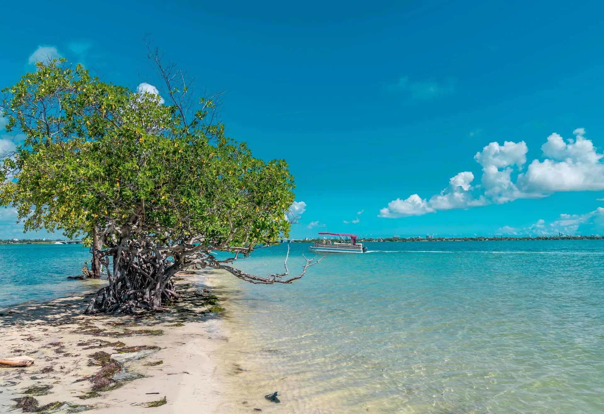 Godfrey Marine Sanpan 2500 FE in Miami, FL — photo 2