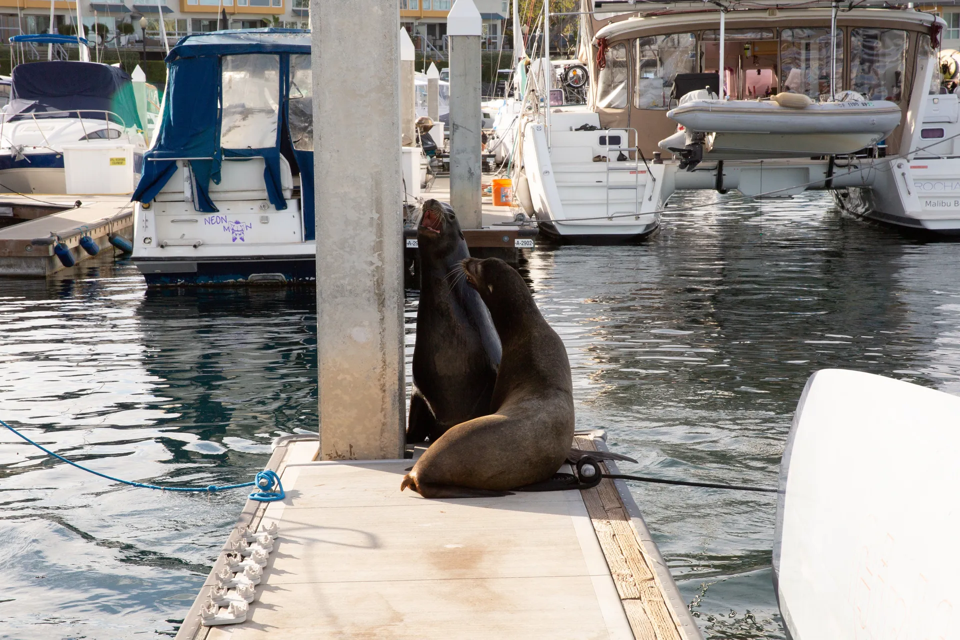 Hunter 27 in Marina del Rey, CA — photo 5