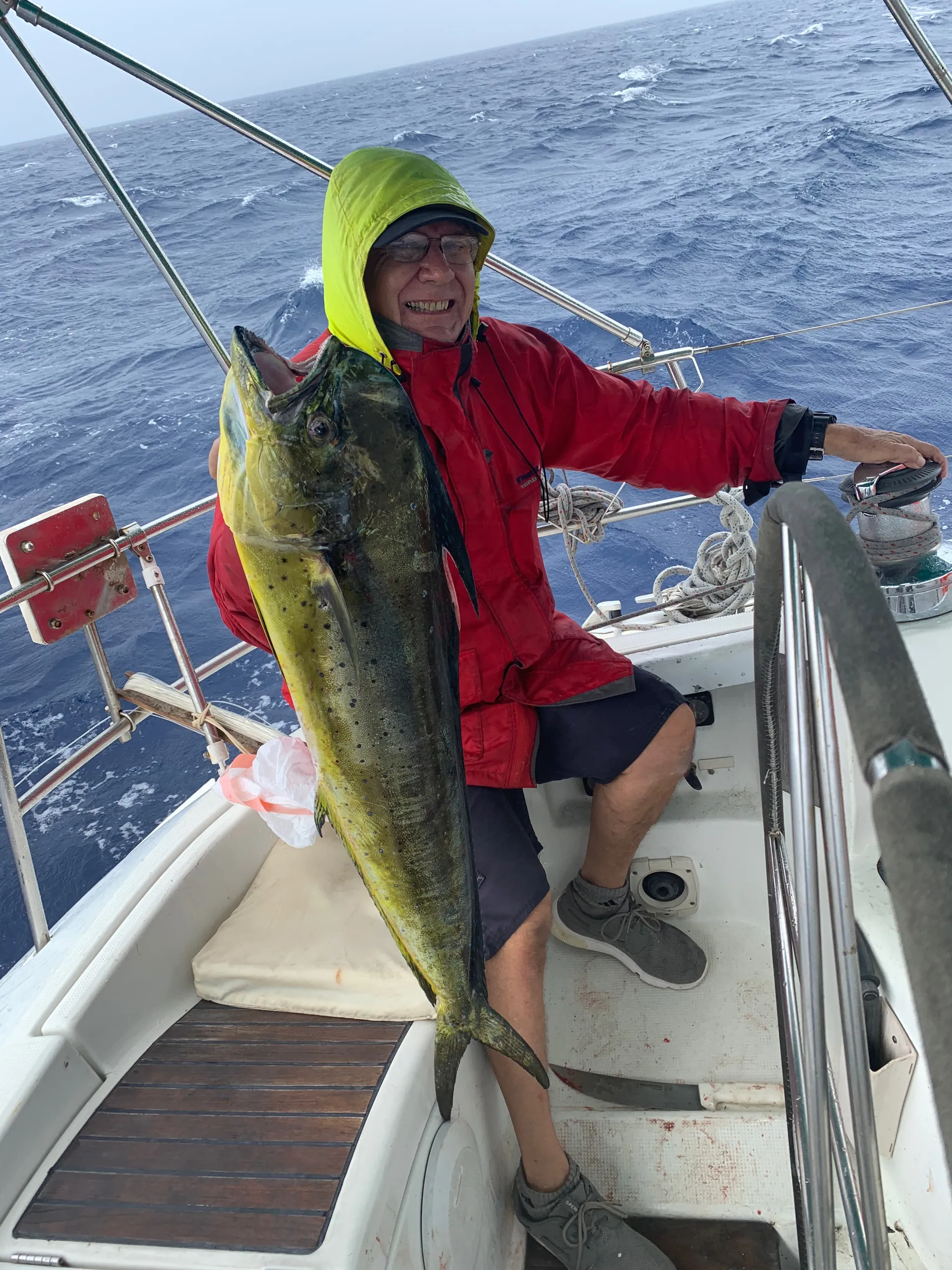 Private Yacht , just you and your people.       BOOK NOW!