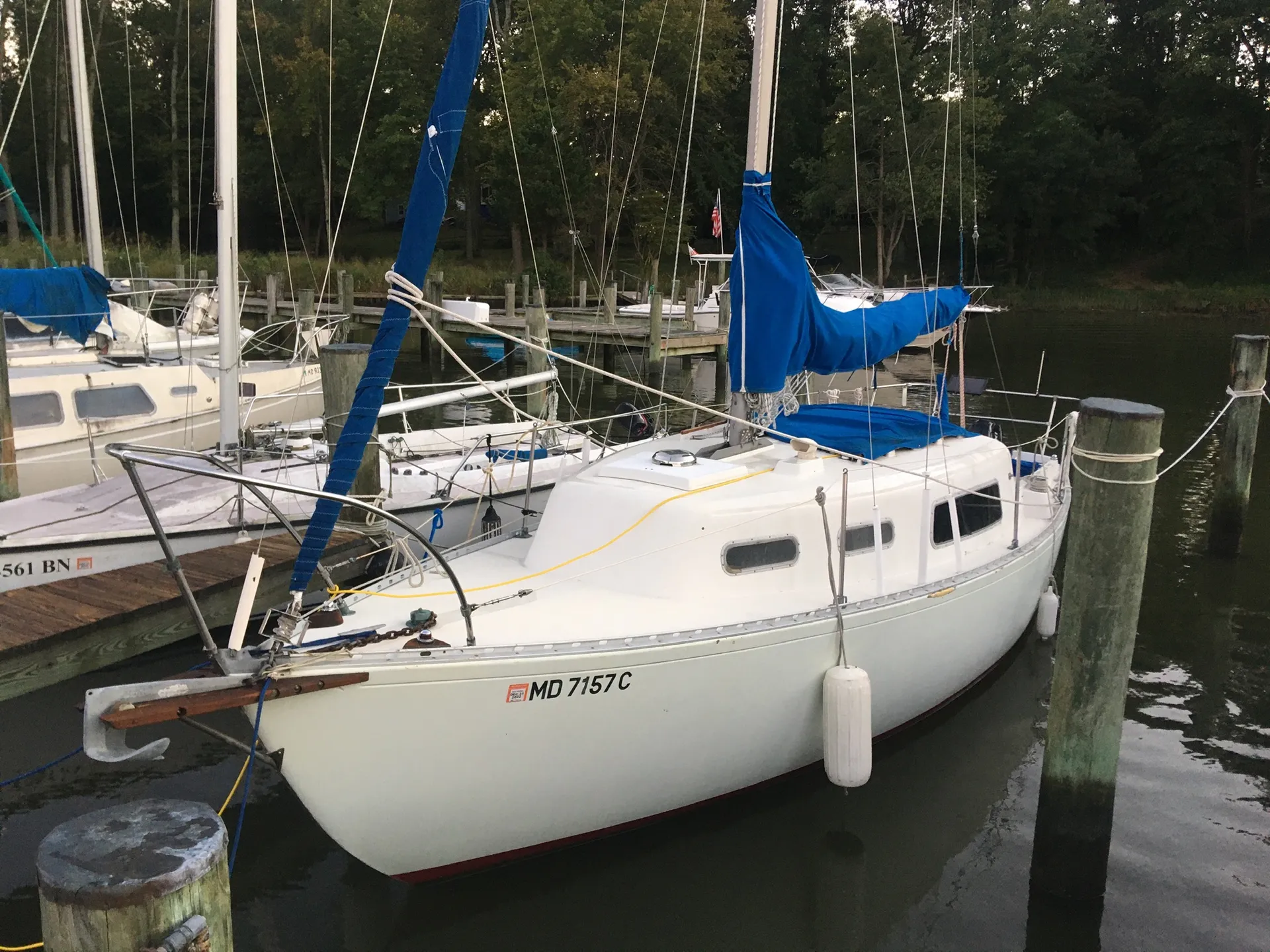 boat