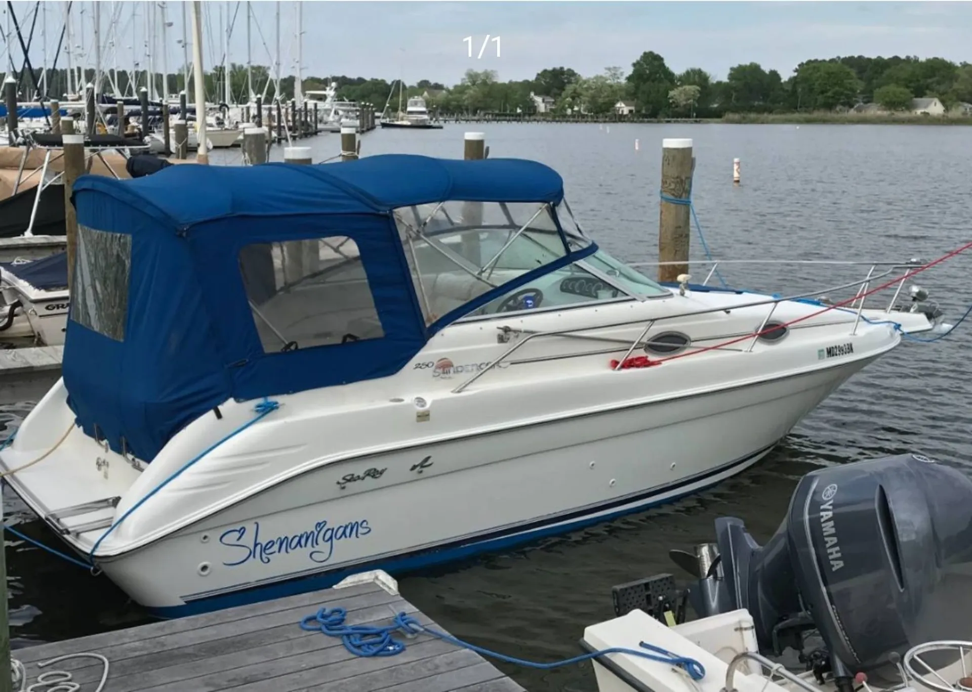 boat