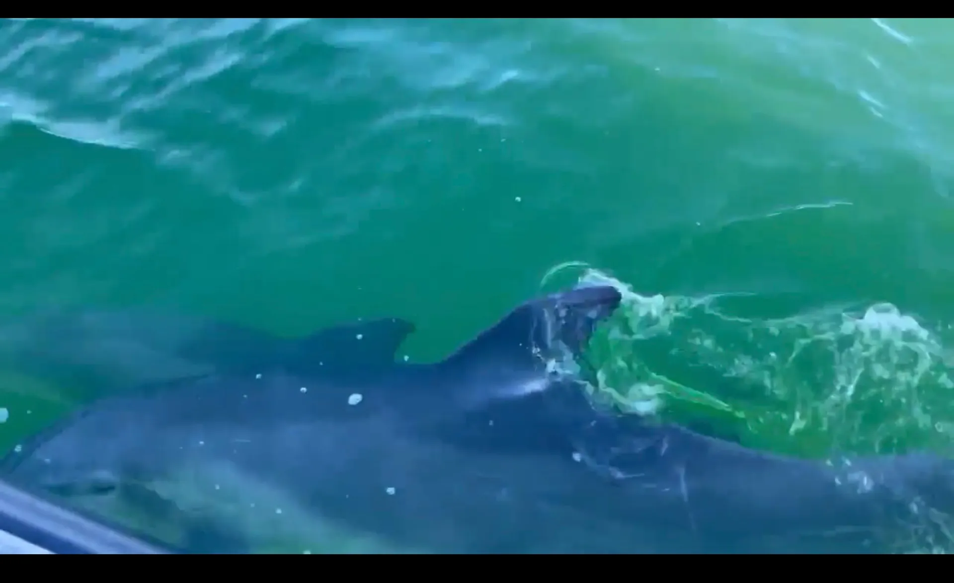 SUV of the Seas - Ultra Luxury Adventure Boat: Rated #1 Boat Key West