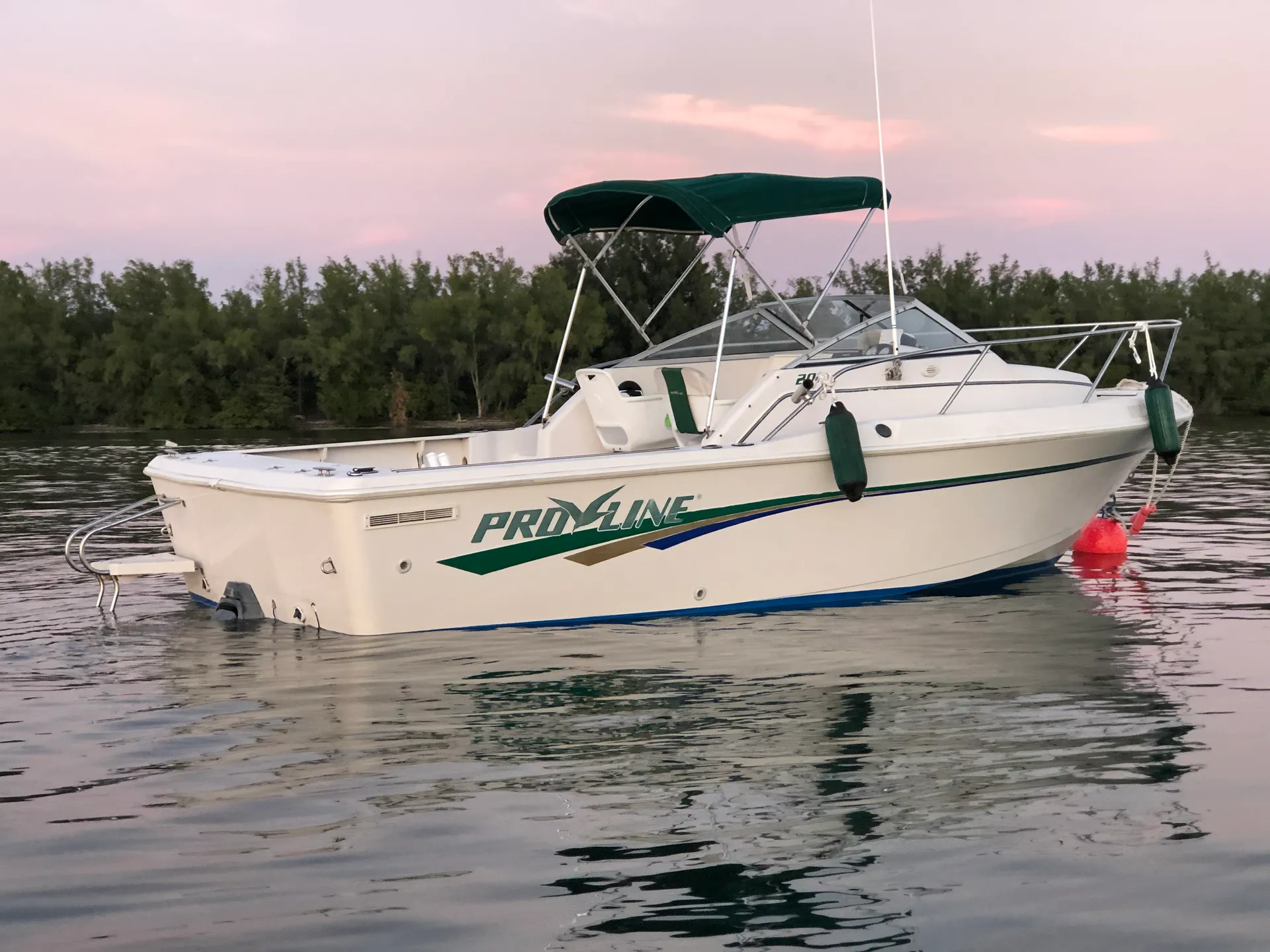 Pro-Line Boats 201 Walkaround in Miami, FL
