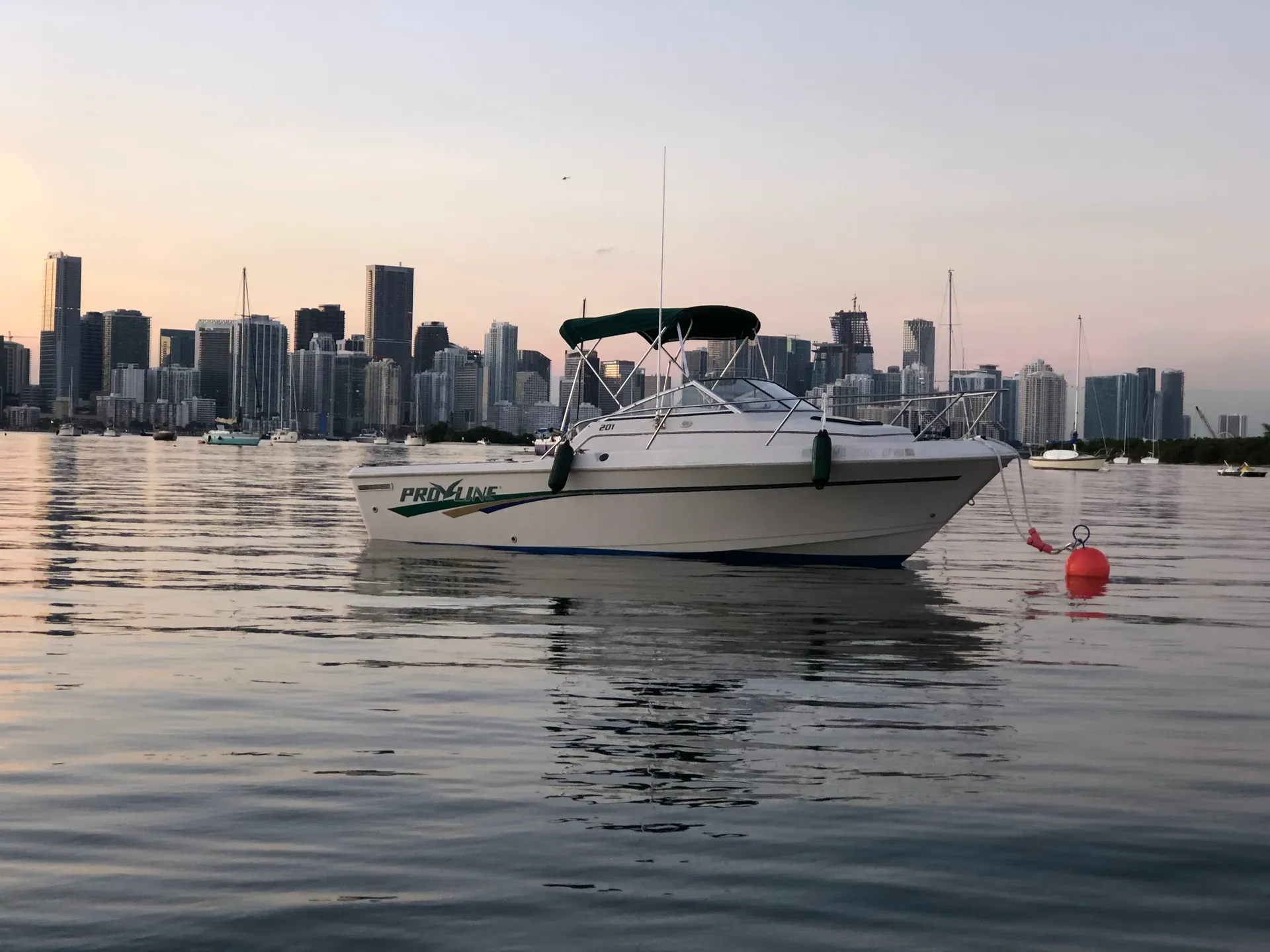 Pro-Line Boats 201 Walkaround in Miami, FL — photo 3