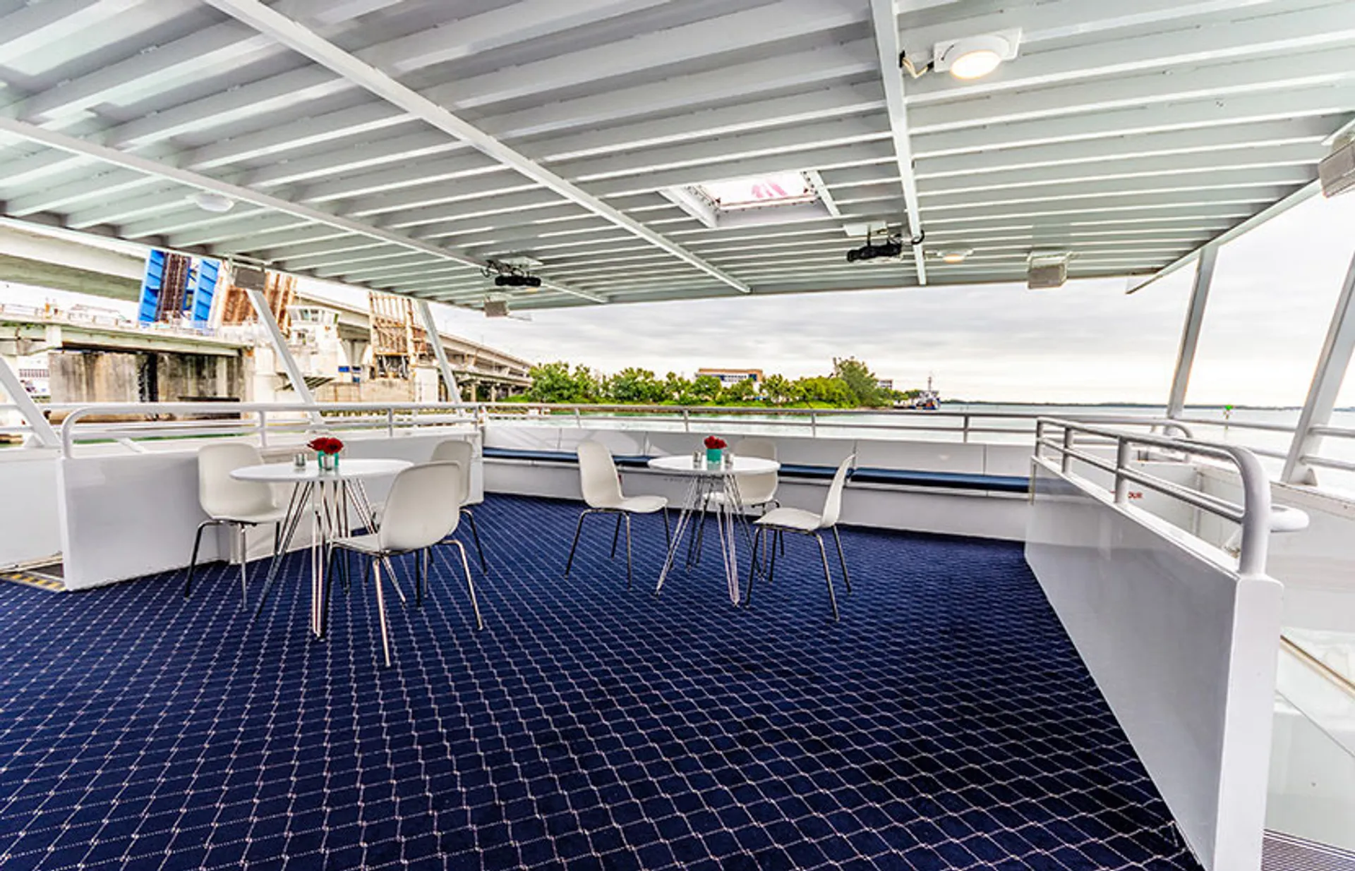 Miami Lady  74 in Miami, FL — photo 10