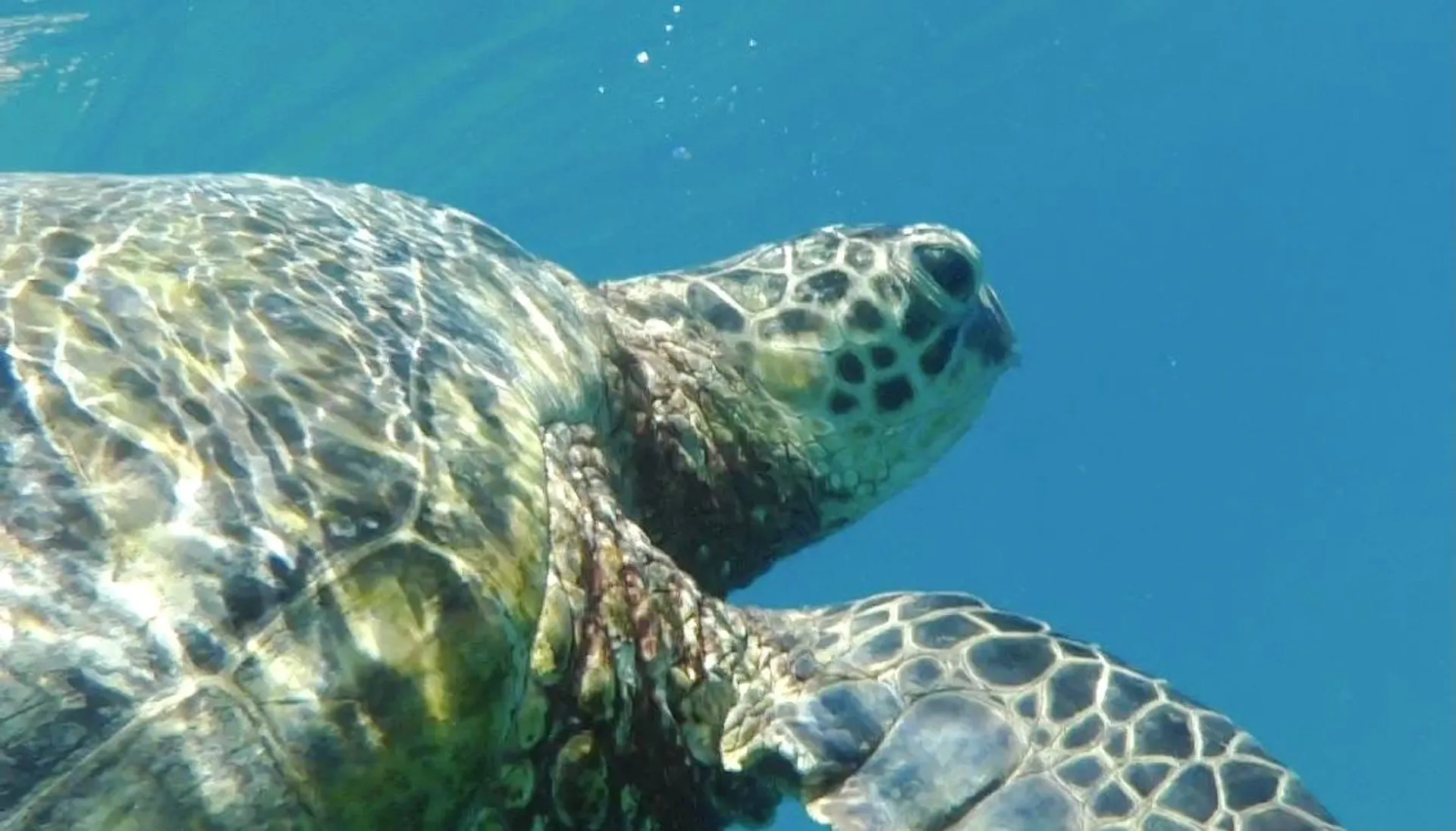 Fireworks viewing private 🎉 party. See them from the ocean, Sunsets